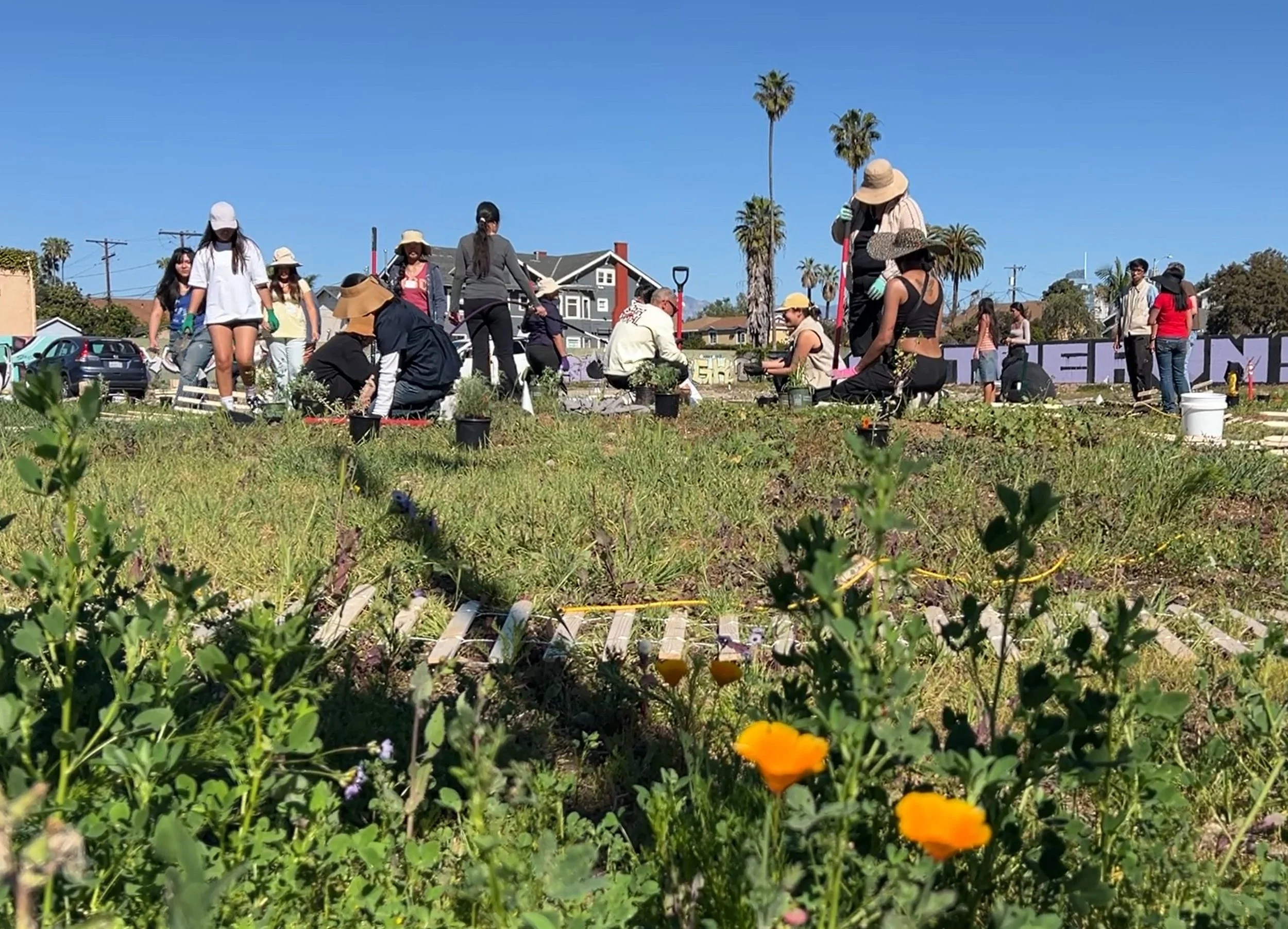 Screenshot 2026-02-10 143001.jpg