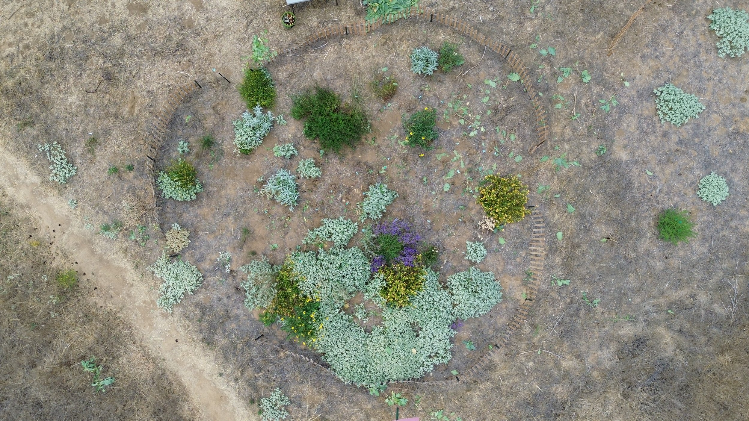 Copy of Copy of DJI_0192.JPG