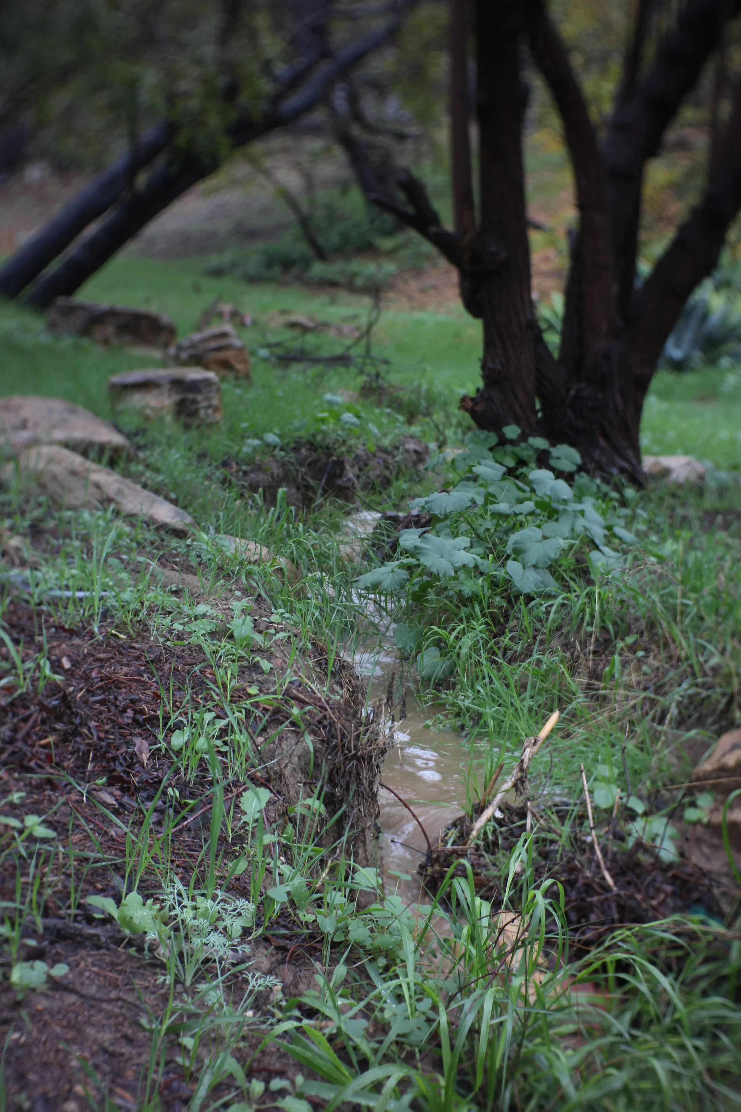EPHEMERAL STREAM