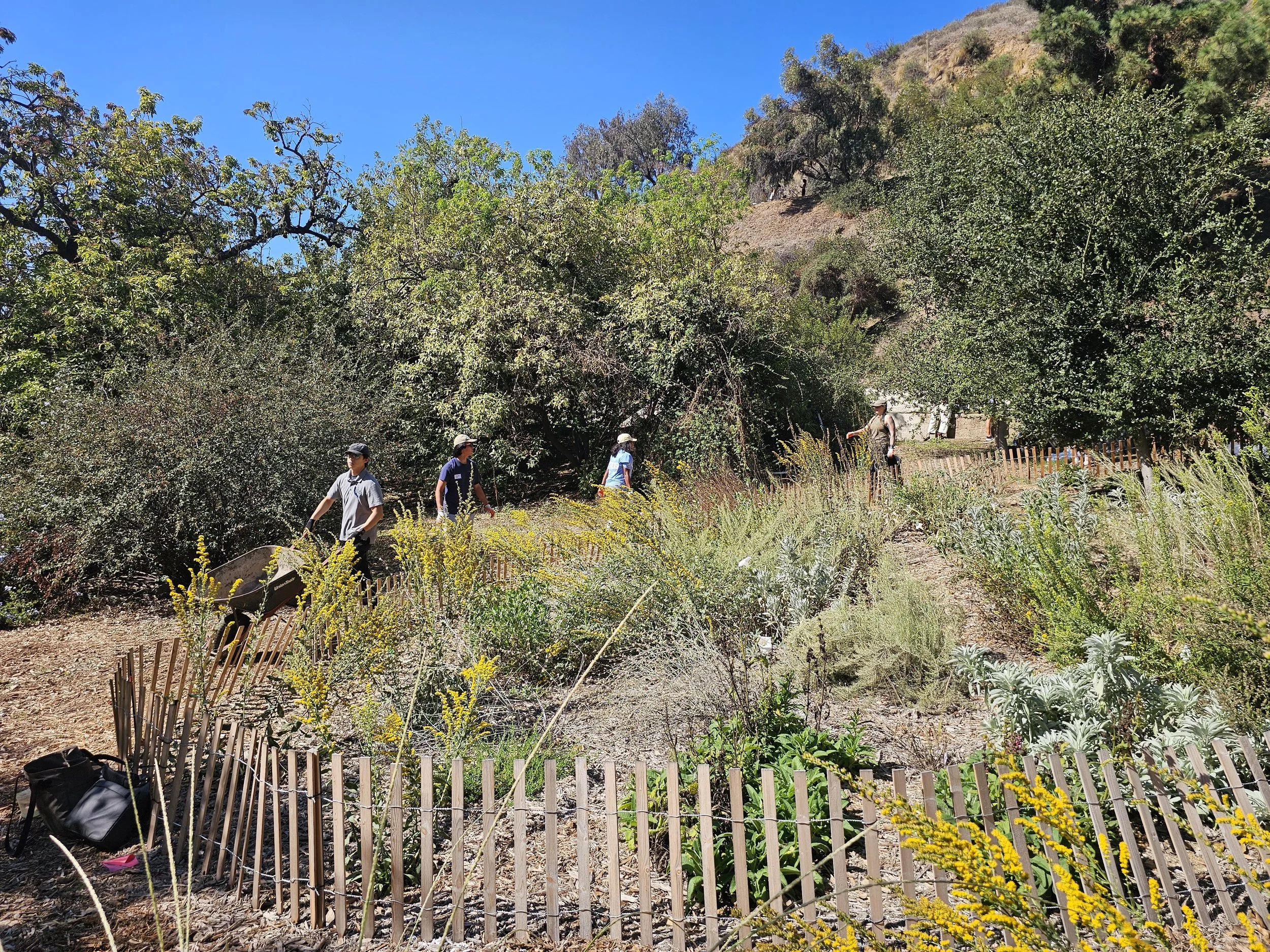 RUNYON CANYON / LOS ANGELES — LA's most popular urban wilderness park