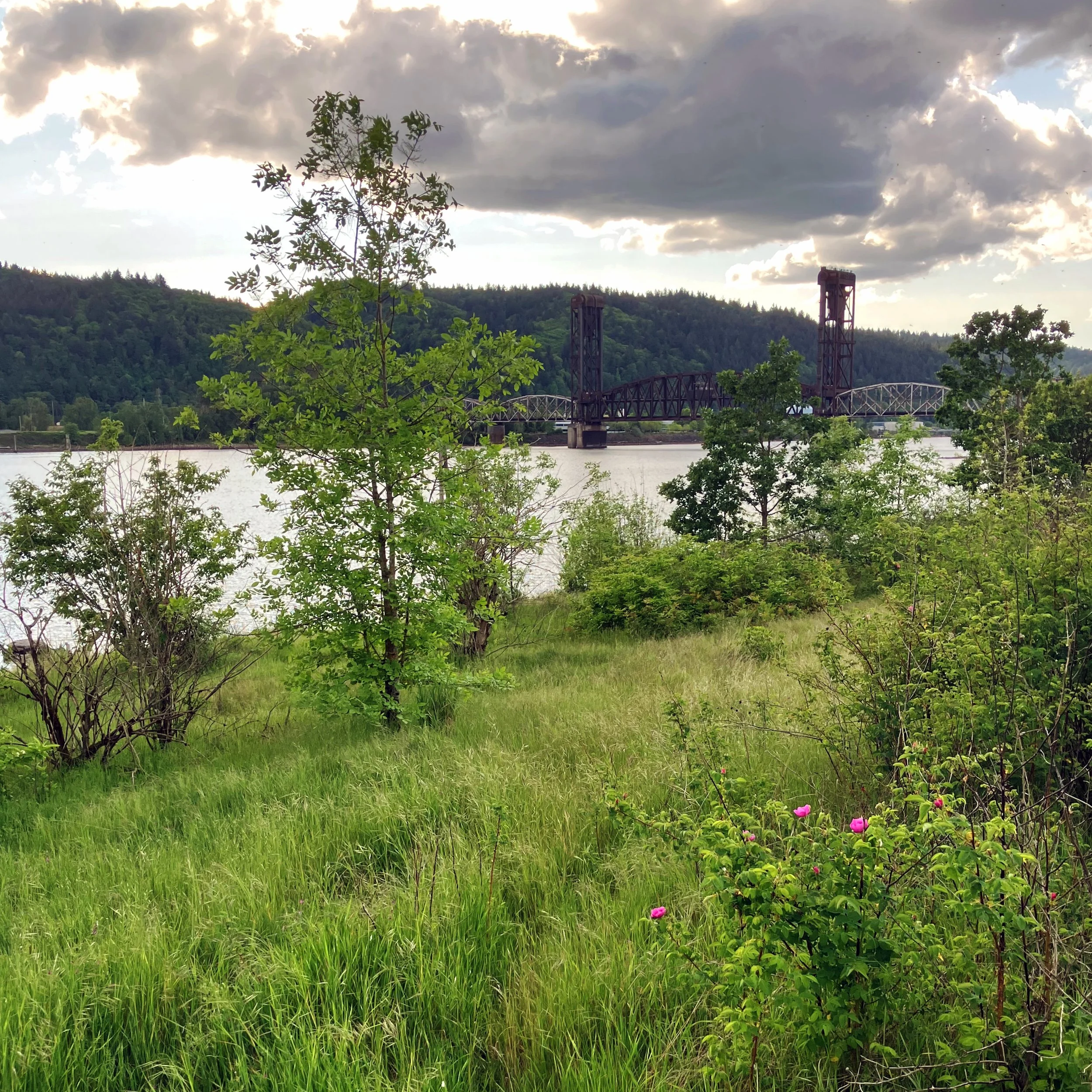 LND LAB PBG Test Plot PDX Bridge.jpg