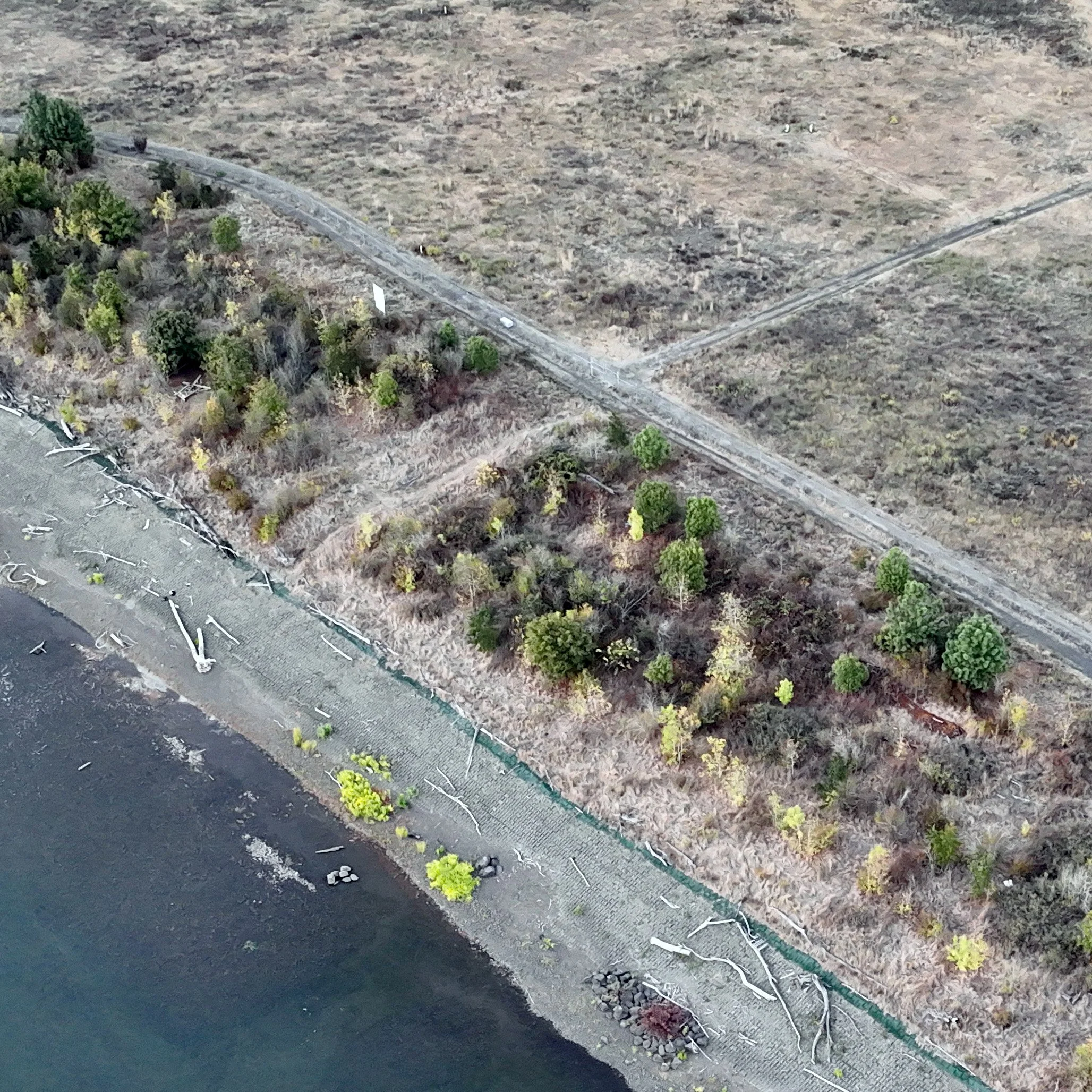 LND LAB PBG Test Plot PDX Birds Eye.jpg