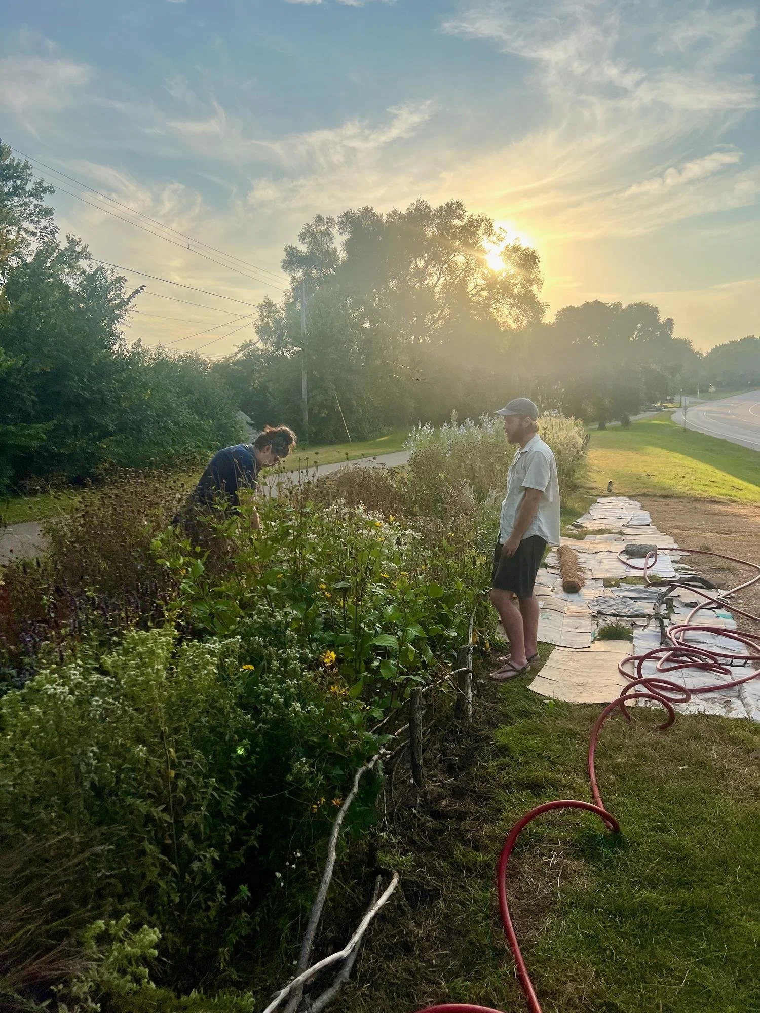 BEE LINE / ST. PAUL, MN — An affiliate plot along a parkway
