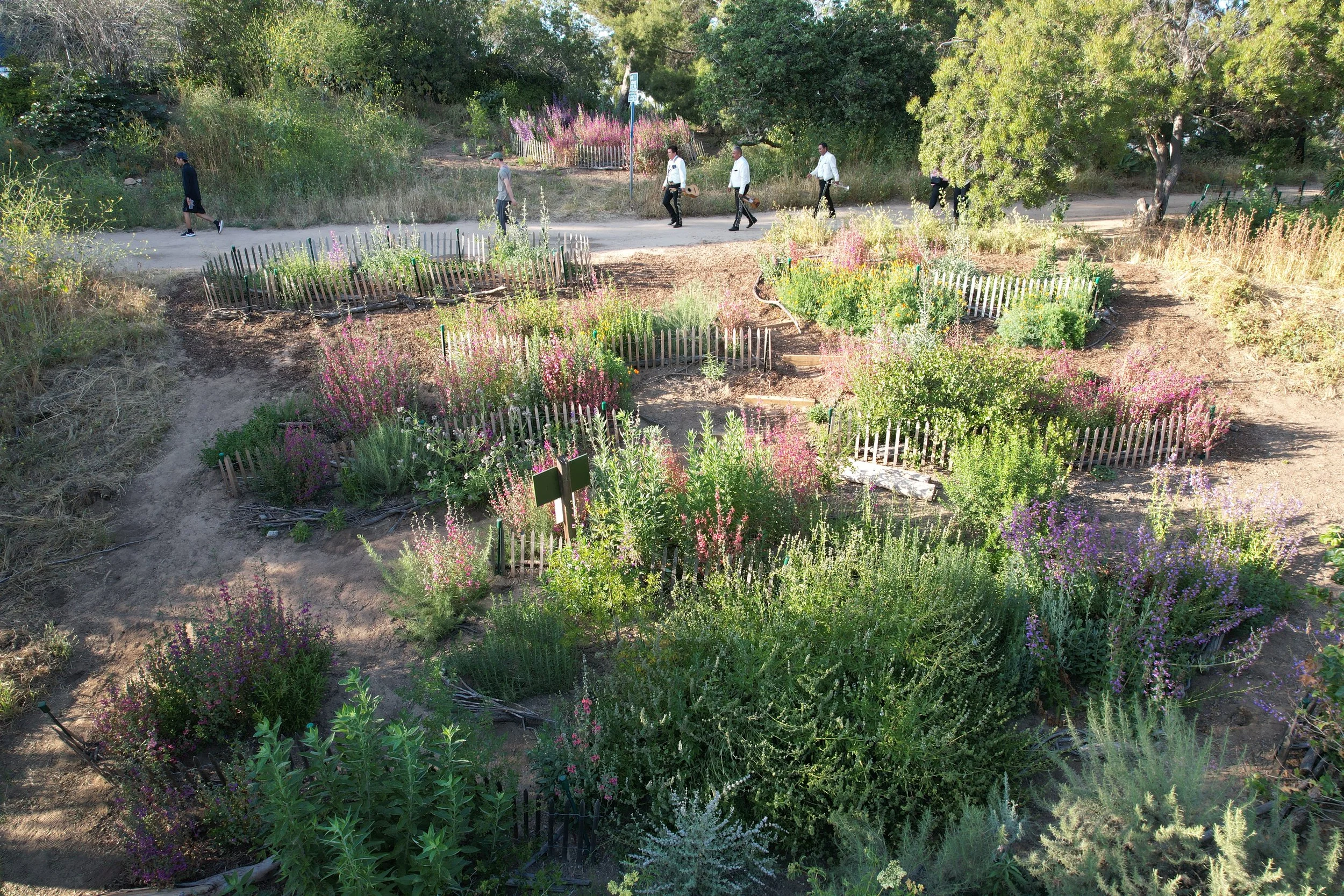 ELYSIAN PARK / LOS ANGELES