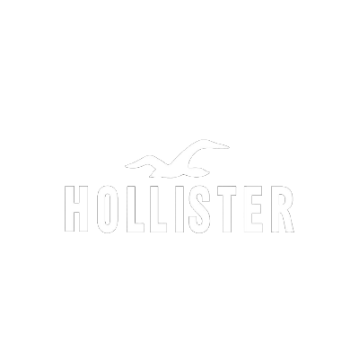 Hollister logo with seagull icon on a black background.