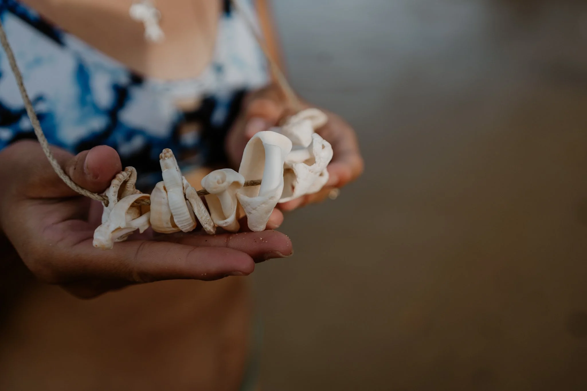 A7409930.jpg