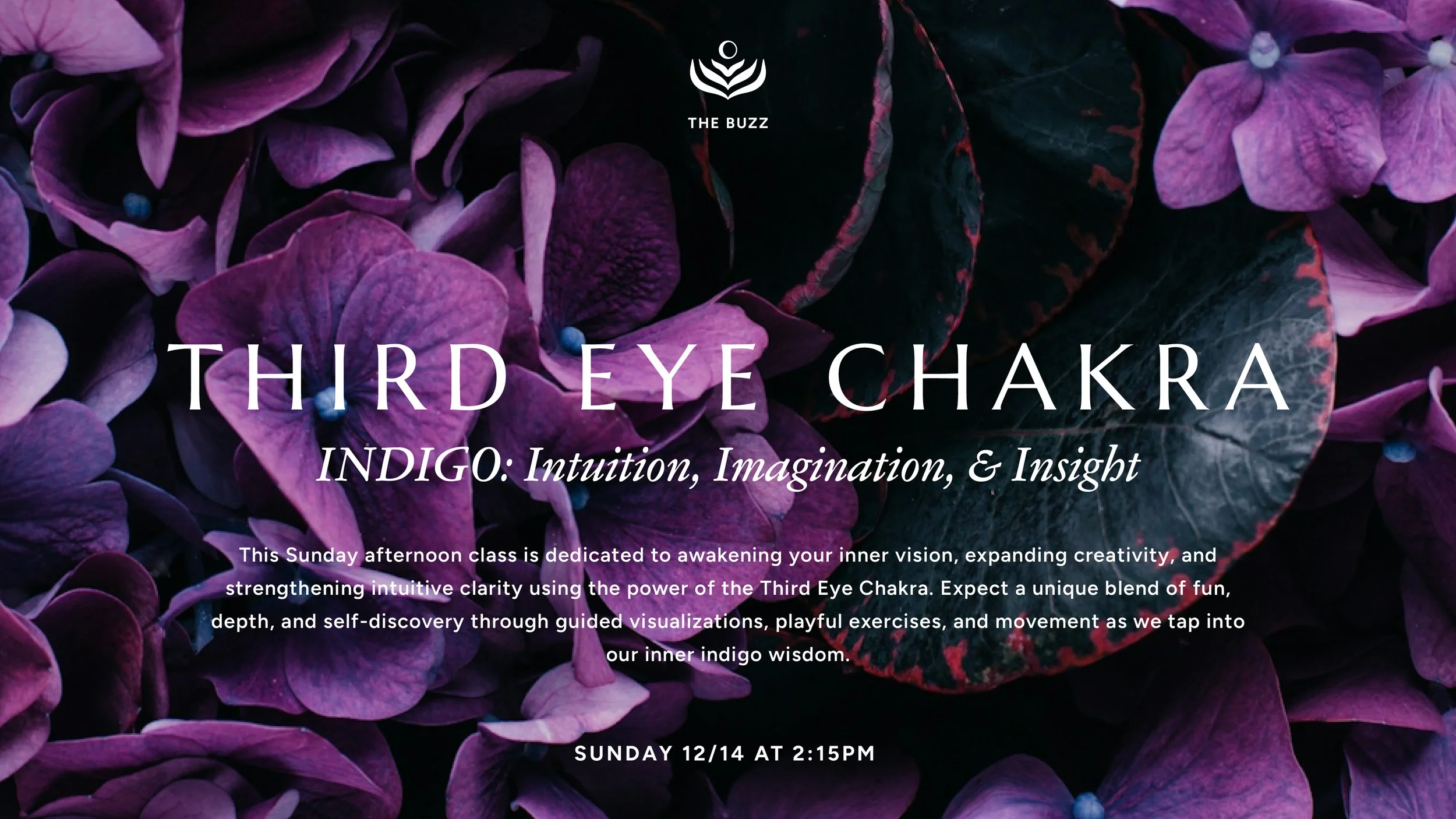 The Buzz: Third Eye Chakra - Intuition, Imagination & Insight  INDIGO