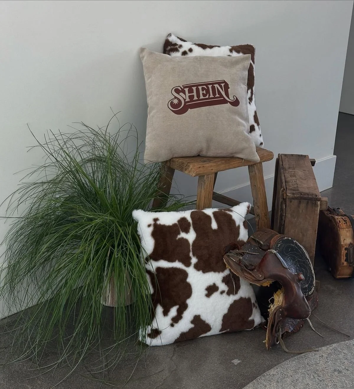 Decorative display with two tufted cowhide pillows, a wooden stool with a beige cushion labeled 'SHEIN', a large green plant, and wooden vintage boxes and a saddle on a concrete floor against a plain white wall.