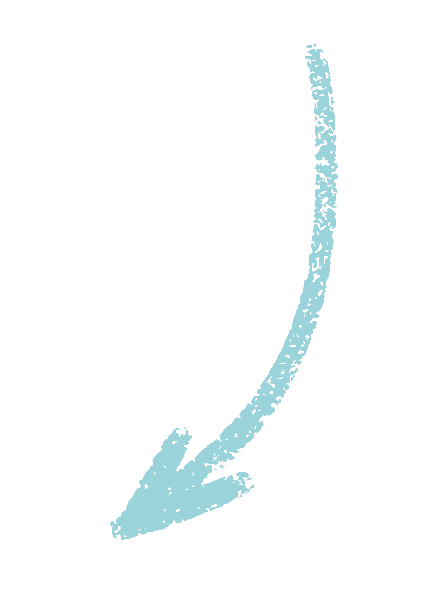 Outline map of the state of Texas in light blue on a black background.