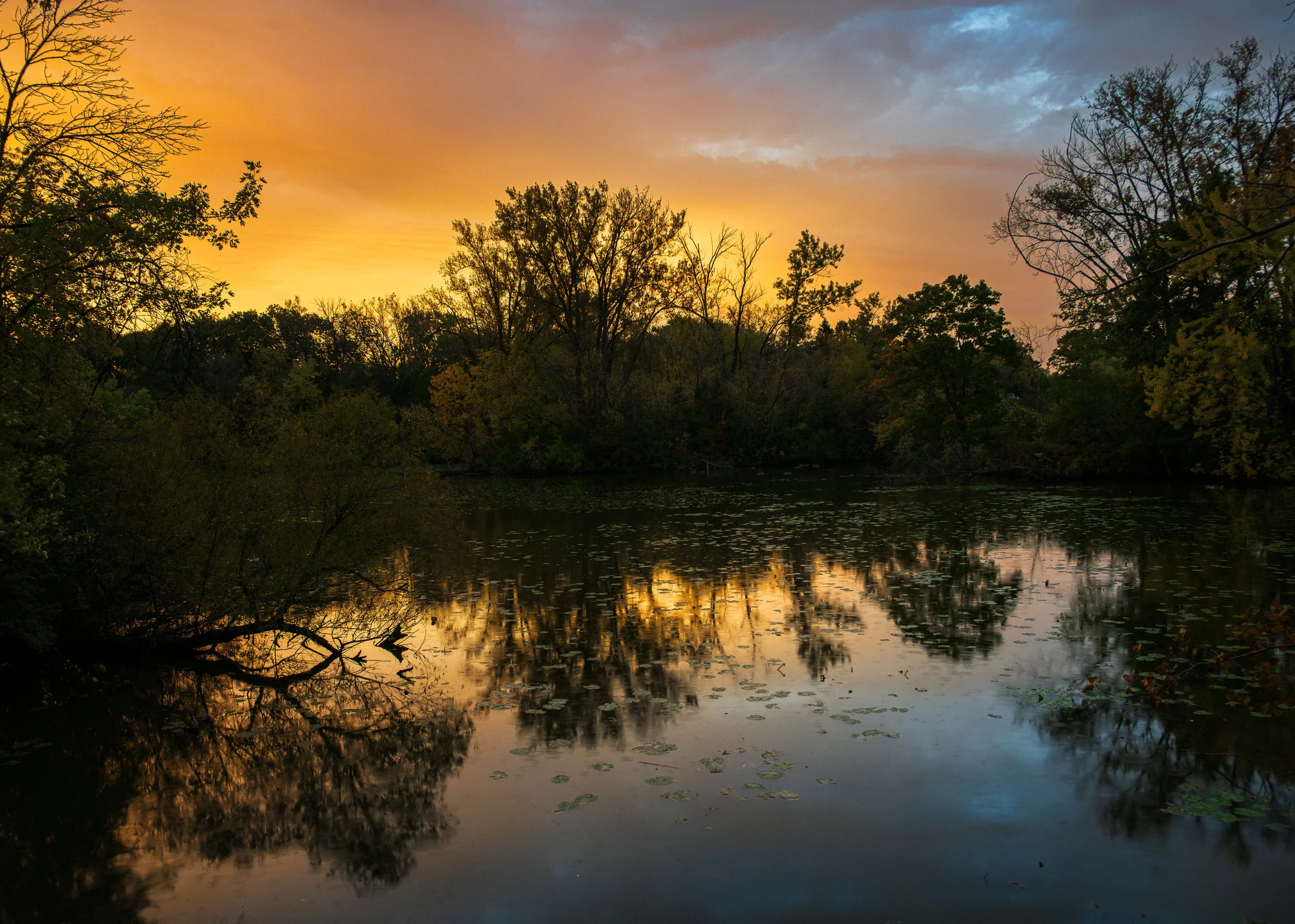 AustinJKettelhut_untitled_160007_251016_Low Res.jpg