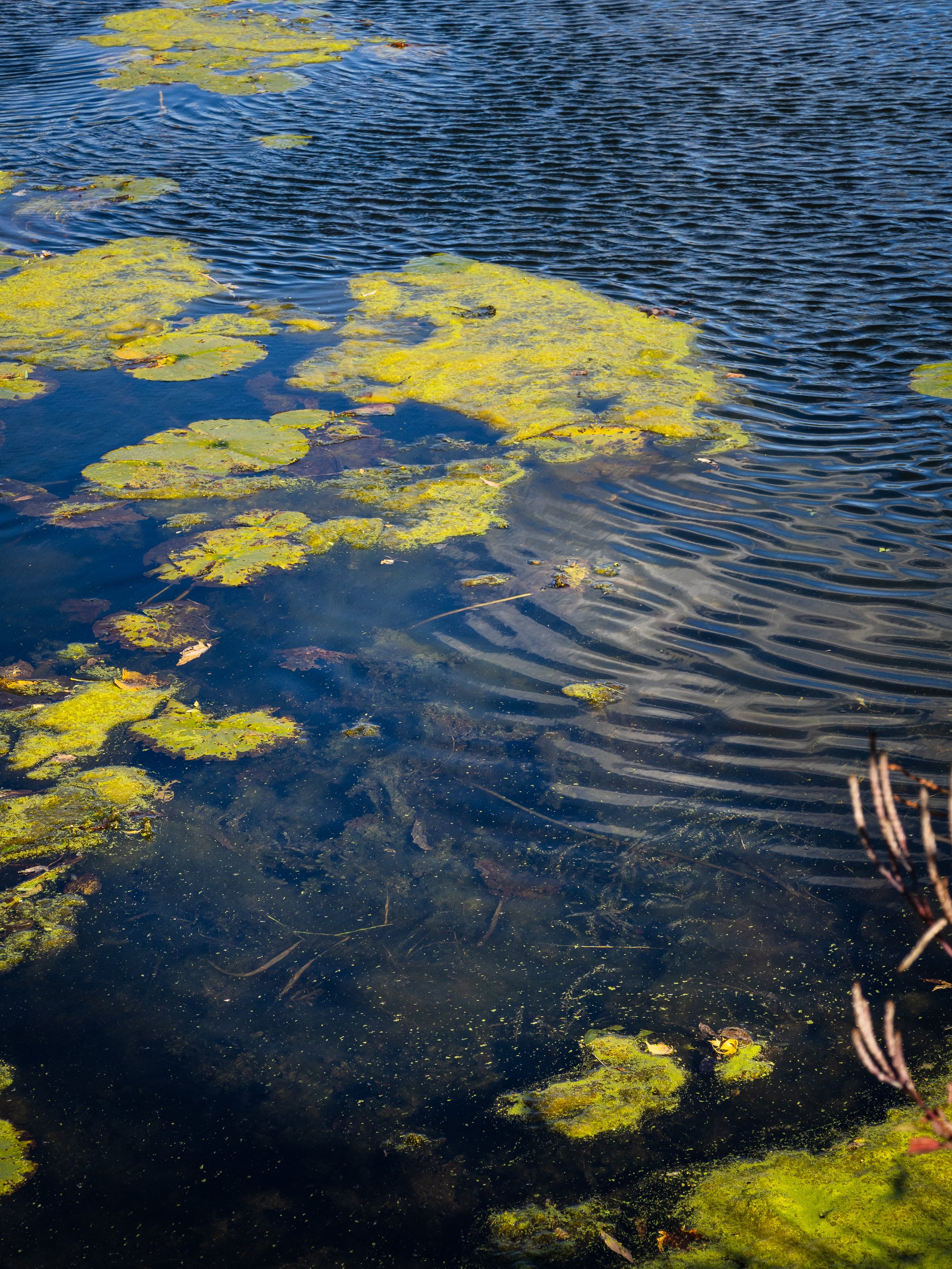 AustinJKettelhut_untitled_190129_251019_Low Res.jpg