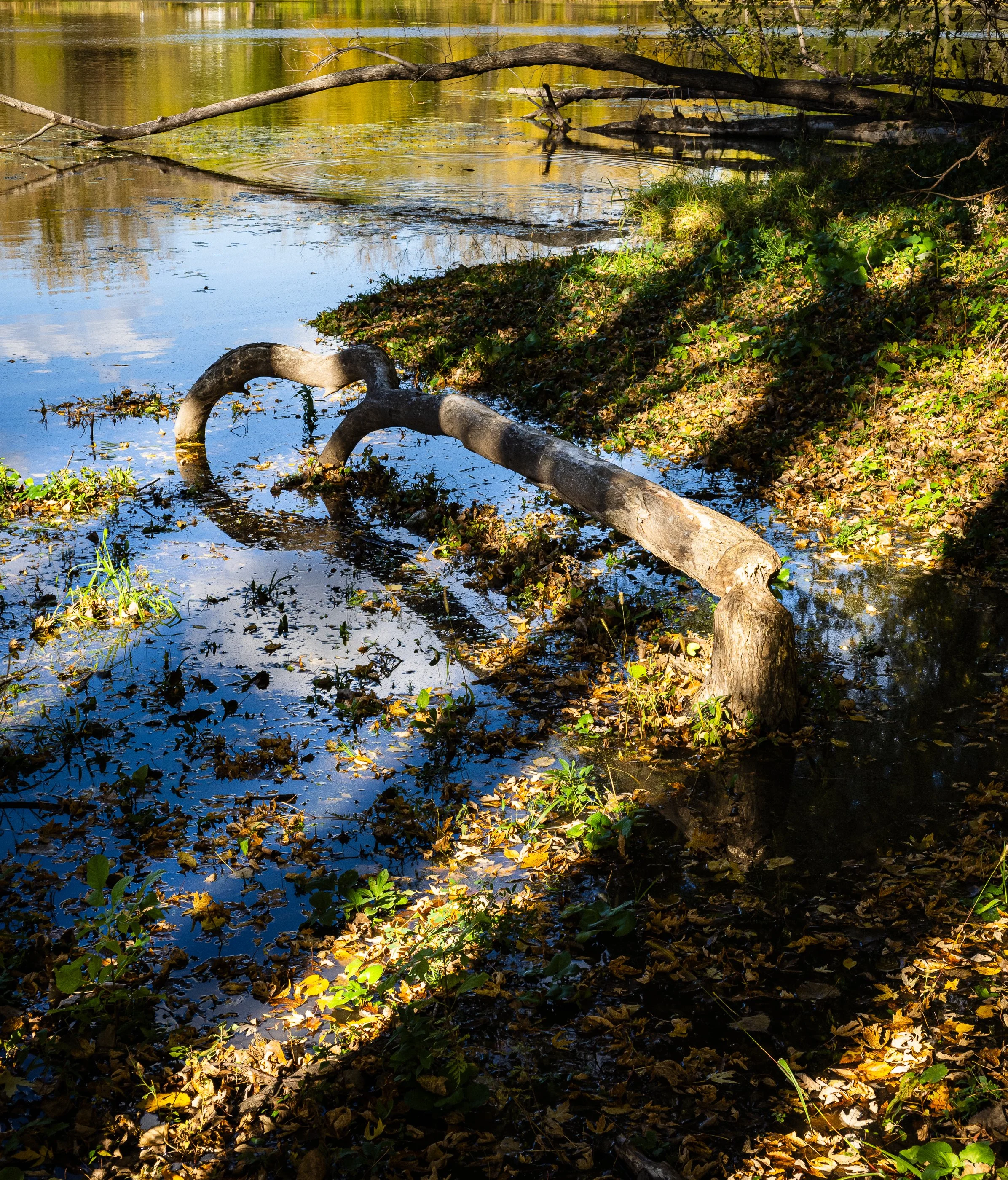 AustinJKettelhut_untitled_190140_251019_Low Res.jpg