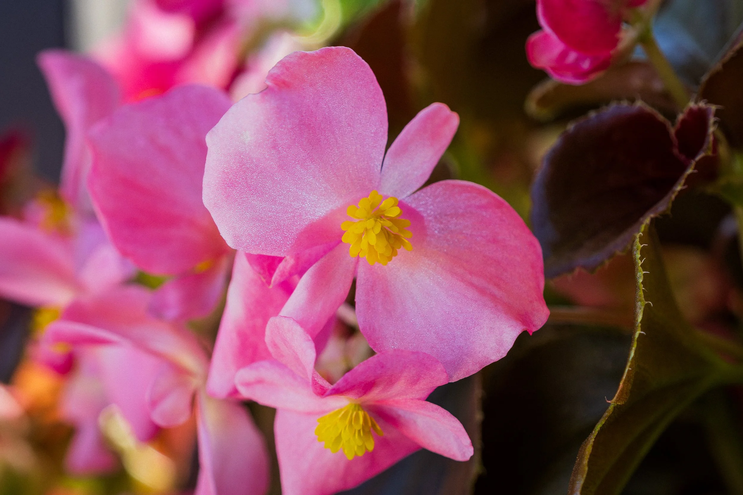 AustinJKettelhut_untitled_130038_251013_Low Res.jpg