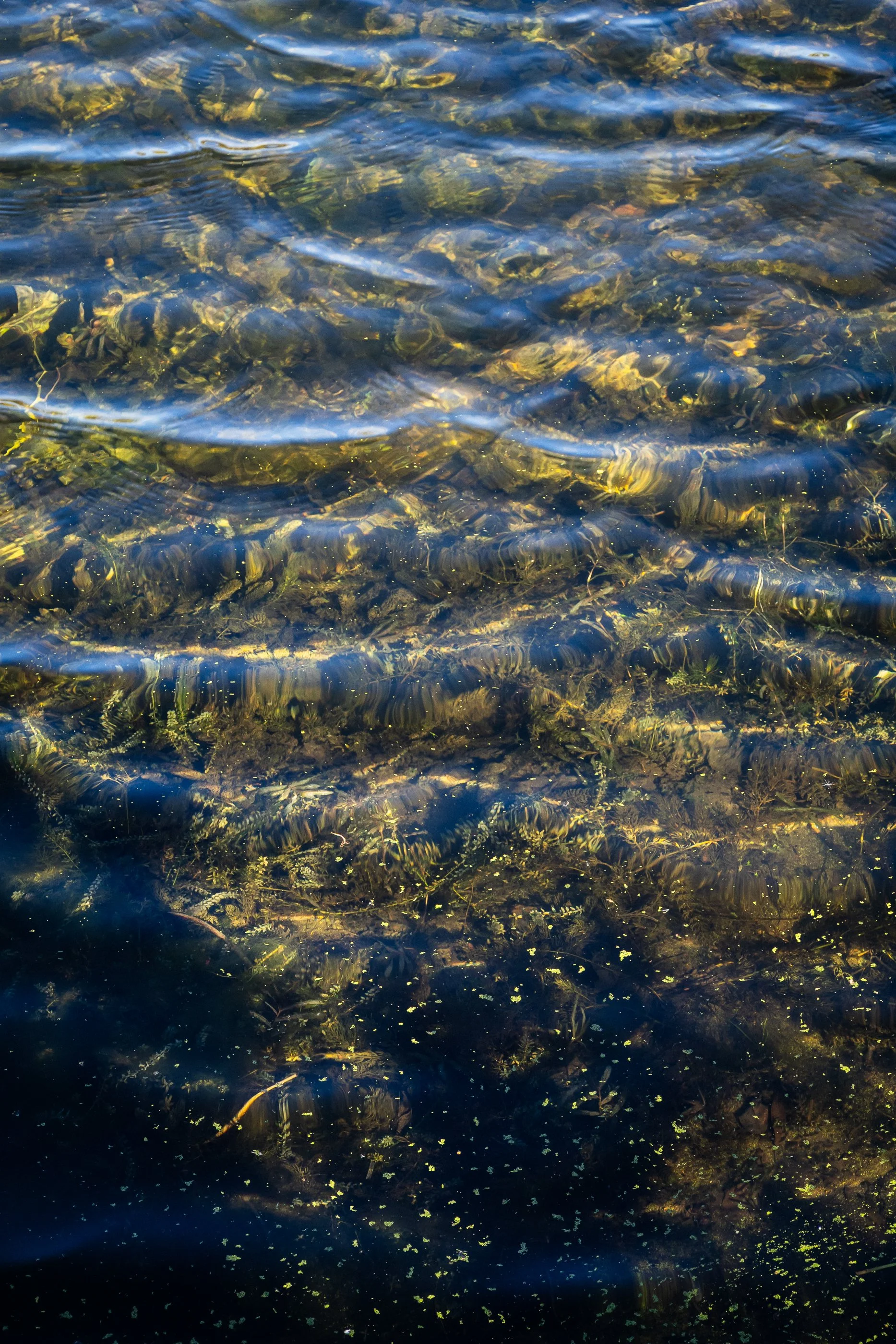 AustinJKettelhut_untitled_190130_251019_Low Res.jpg