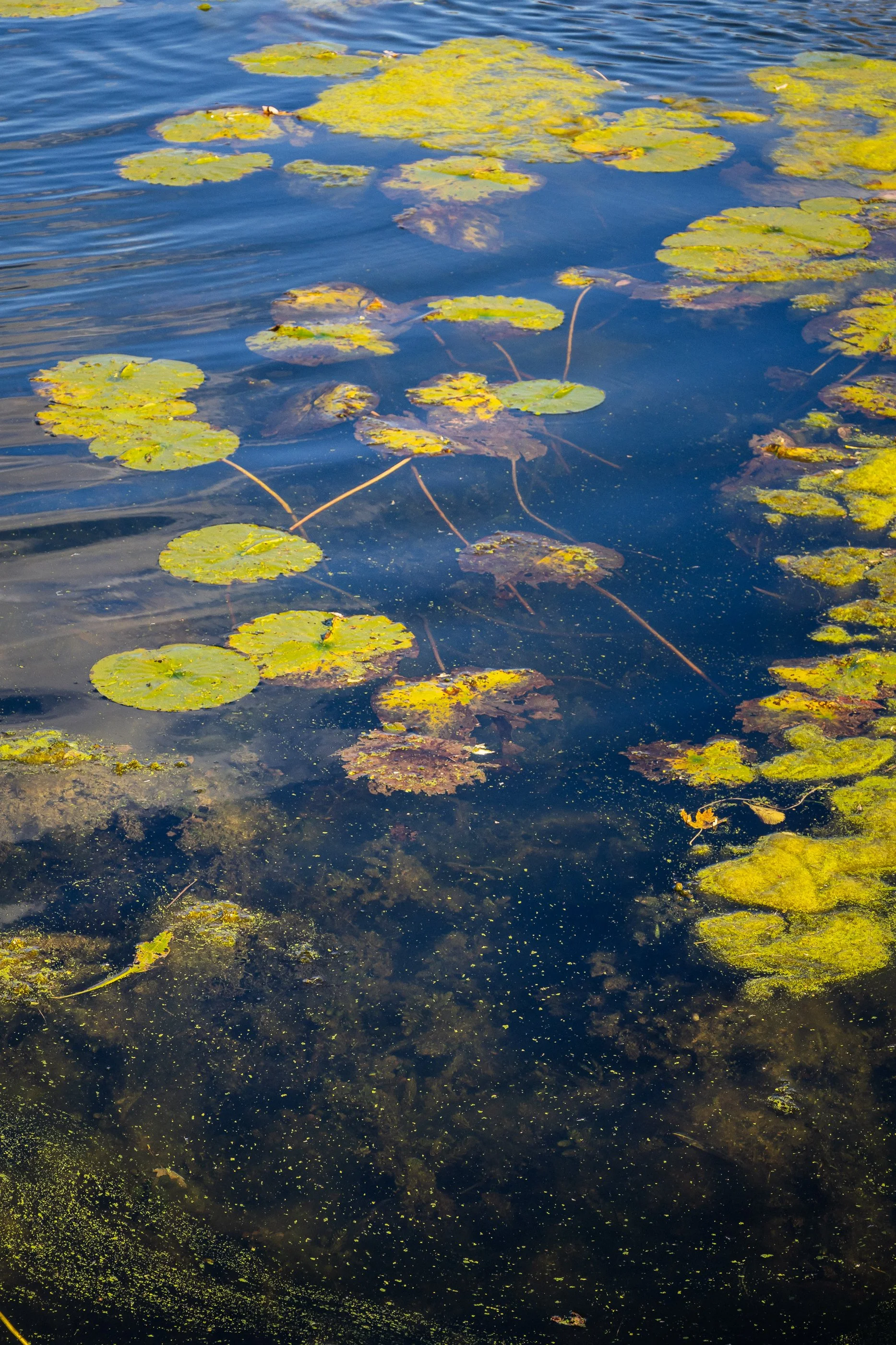 AustinJKettelhut_untitled_190126_251019_Low Res.jpg