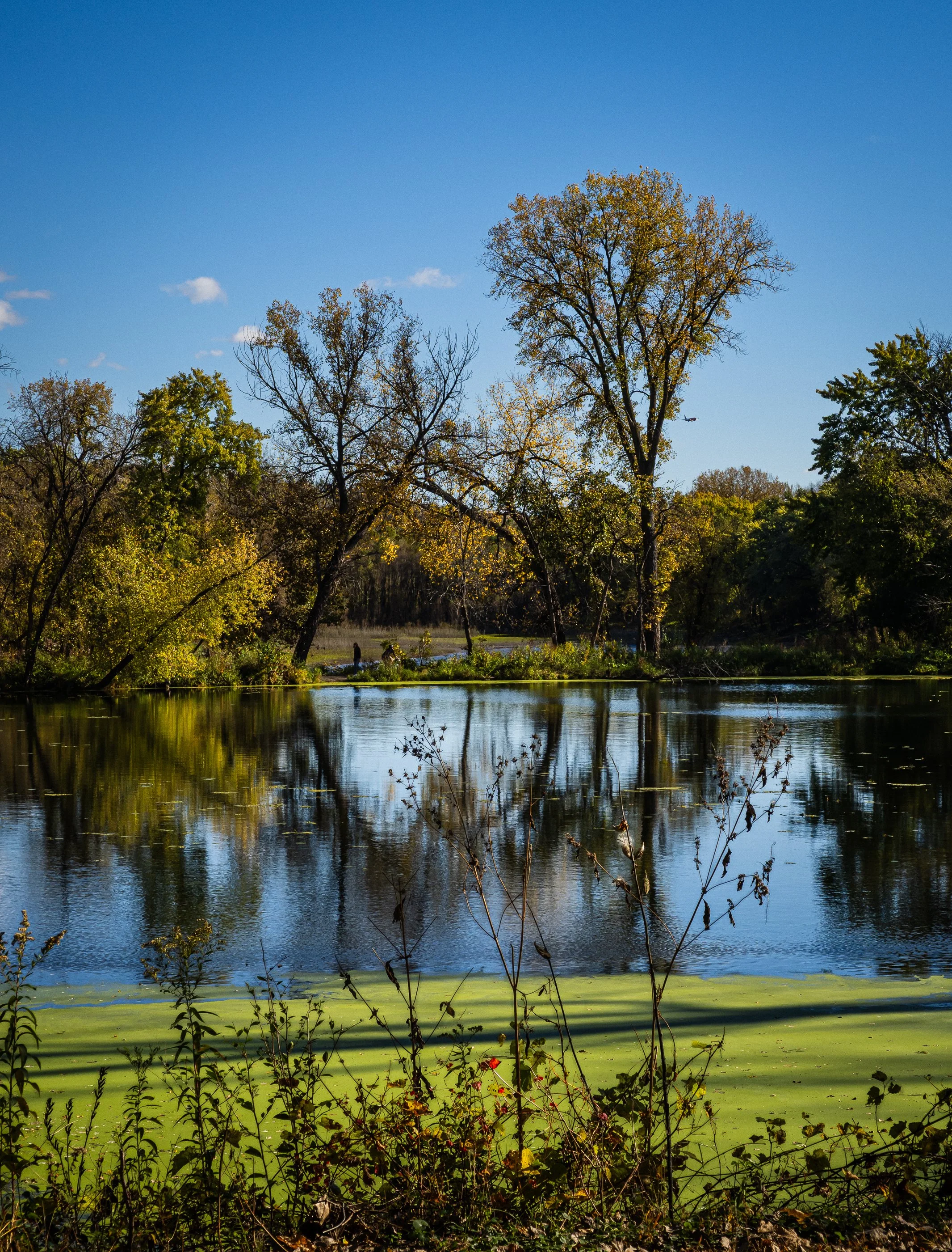 AustinJKettelhut_untitled_190117_251019_Low Res.jpg