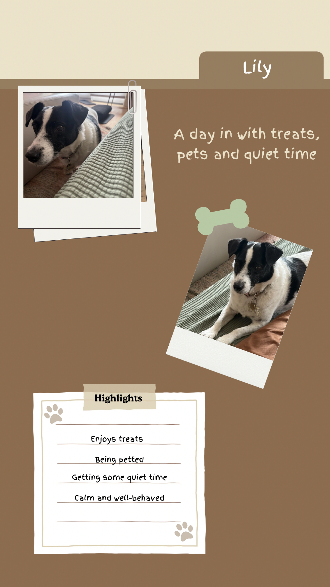 A scrapbook page featuring two photos of a black and white dog named Lily. The top photo shows Lily looking up near a window, and the bottom photo shows Lily lying on a sofa with green and brown blankets. The page has handwritten captions, a dog bone graphic, and a section titled "Highlights" listing Lily's favorite activities like enjoying treats, being petted, and getting quiet time.