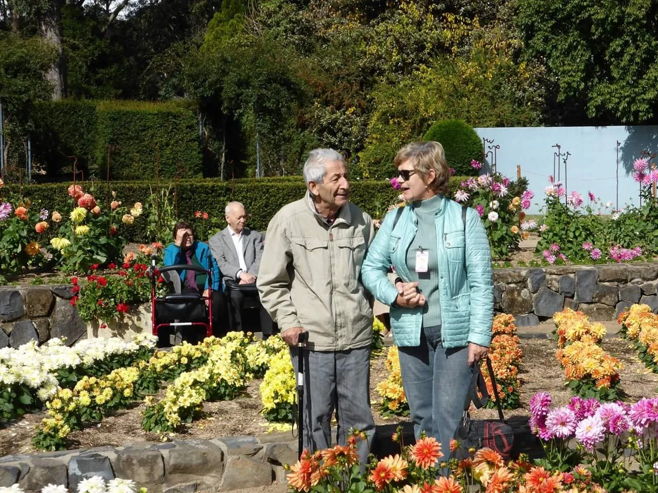 Four seniors in a garden with colorful flowers; two are talking while the other two sit nearby.