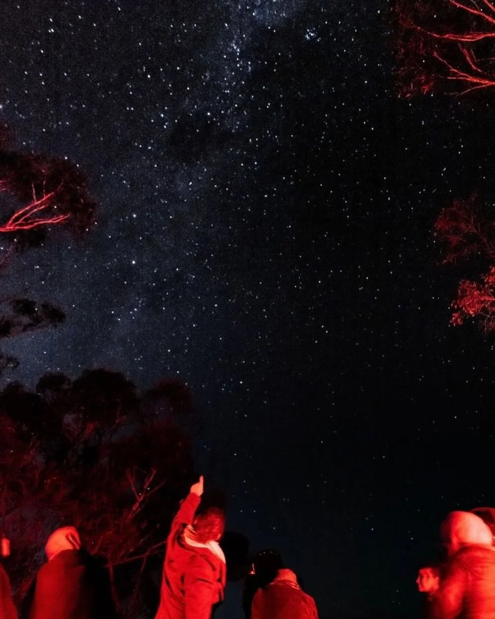 Embark on an out-of-this world space journey and nature immersive campout. We&rsquo;re thrilled to partner with @bowercampco 🏕️ 💫 

Imagine gathering with friends and family, using state-of-the-art telescopes to view deep space marvels like distant