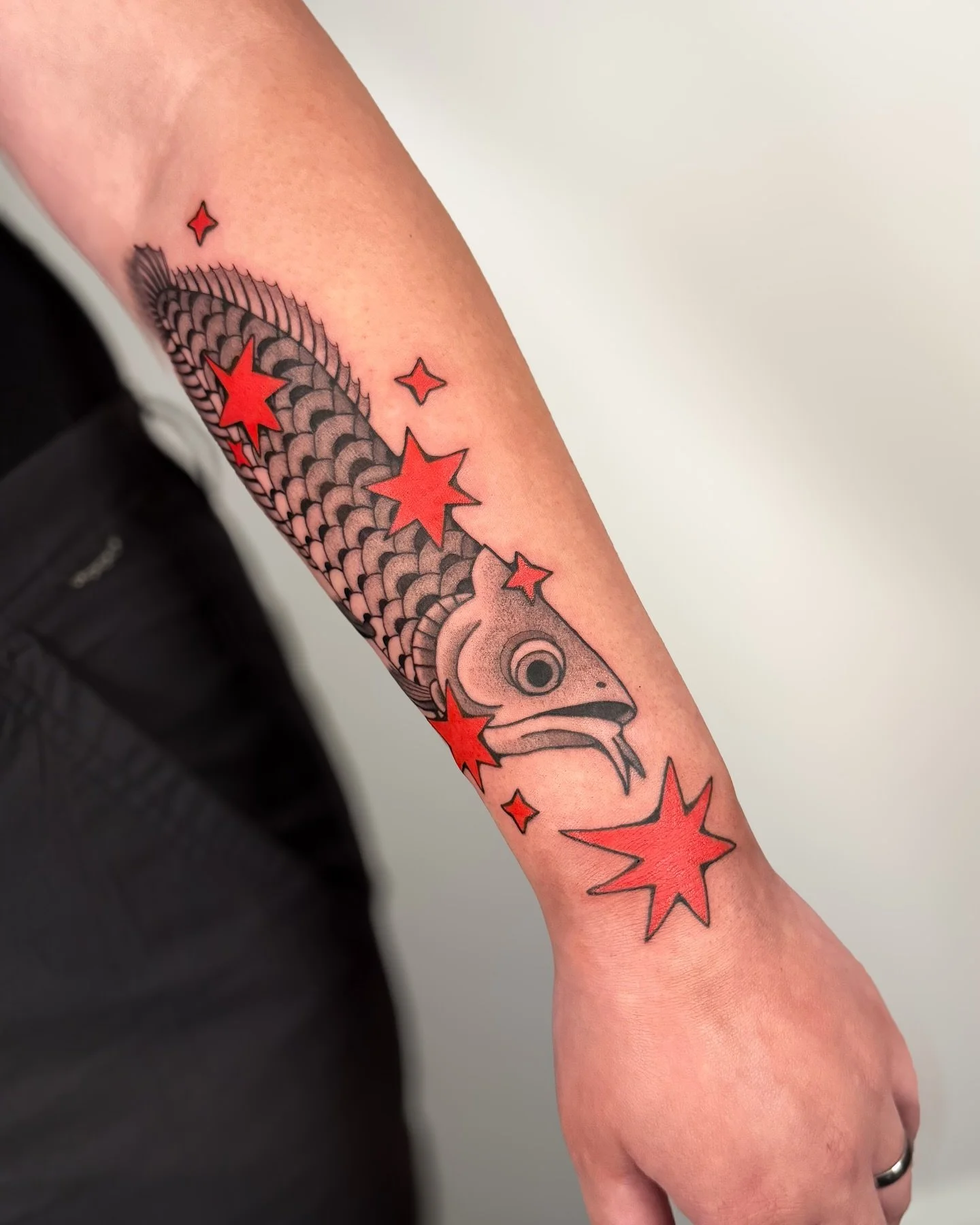 Silver arowana swimming through red stars. TY Izzie for this cool idea 🐟

&ldquo;I caught an arowana! I&rsquo;d make a joke, but I don&rsquo;t &lsquo;wana.&rdquo;
I will tattoo any fish found in Animal Crossing :3
.
.
.
#arowanatattoo #fishtattoo #s