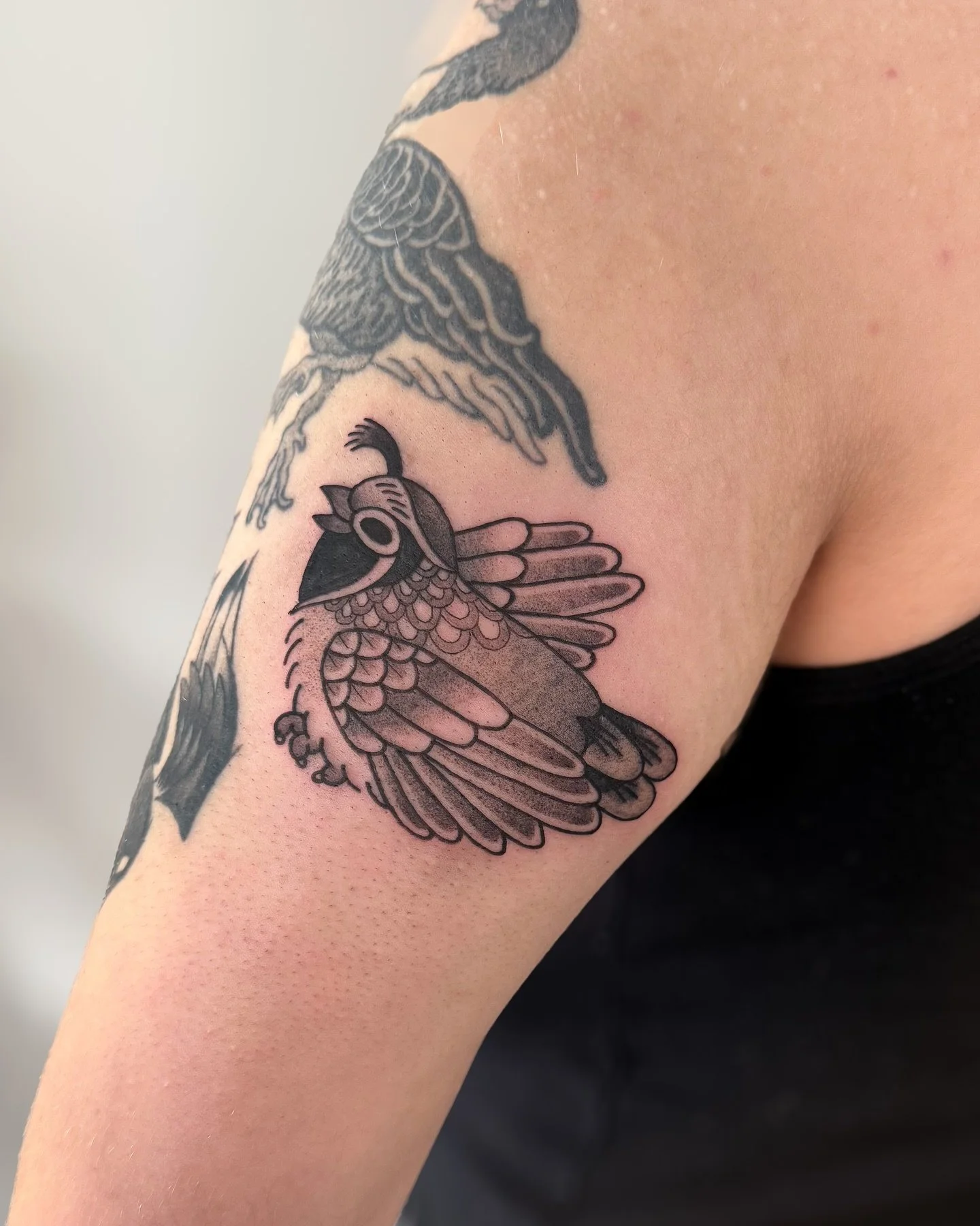 A little California quail for Mags. 🐦🪽
.
.
.
#quailtattoo #birdtattoo #sanfranciscotattooartist