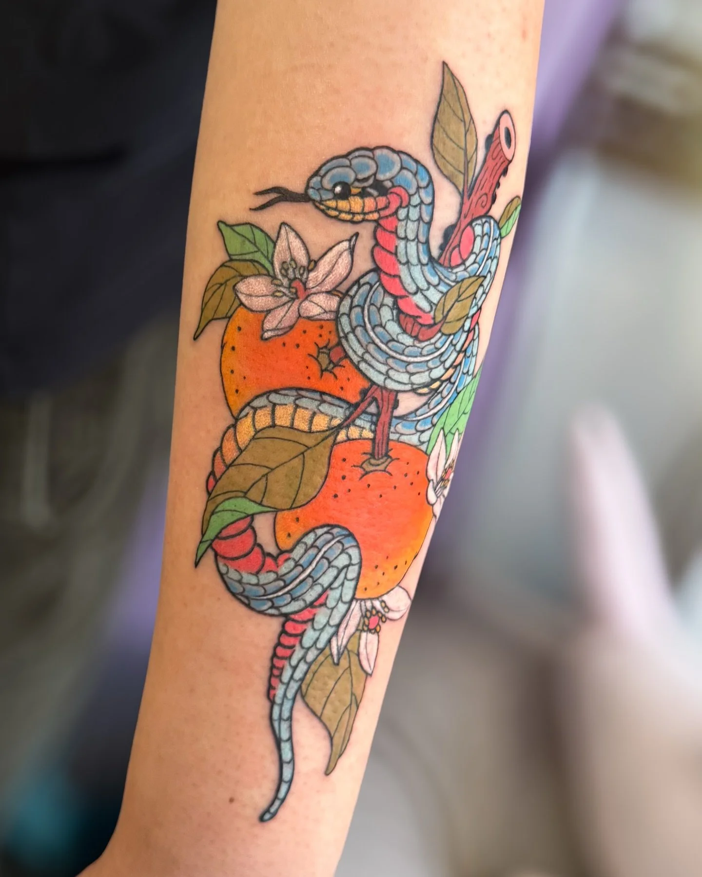 A very colorful Vietnamese blue beauty rat snake wrapped around an orange branch 🐍🍊🍊 
.
.
.
#snaketattoo #vietnamesetattoo #sftattooartist