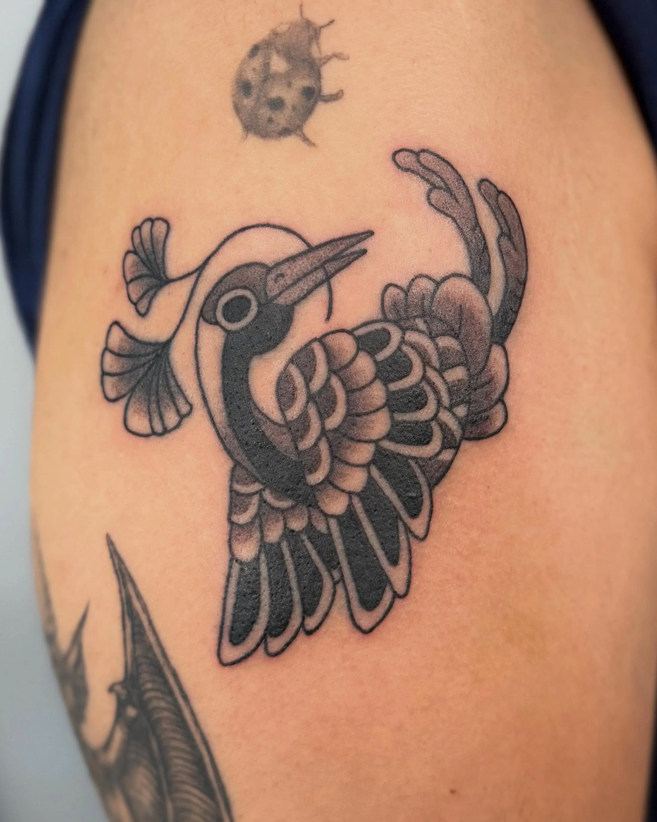 Black and grey crane with ginkgo leaves for Linda 🌱
.
.
.
#cranetattoo #tsurutattoo