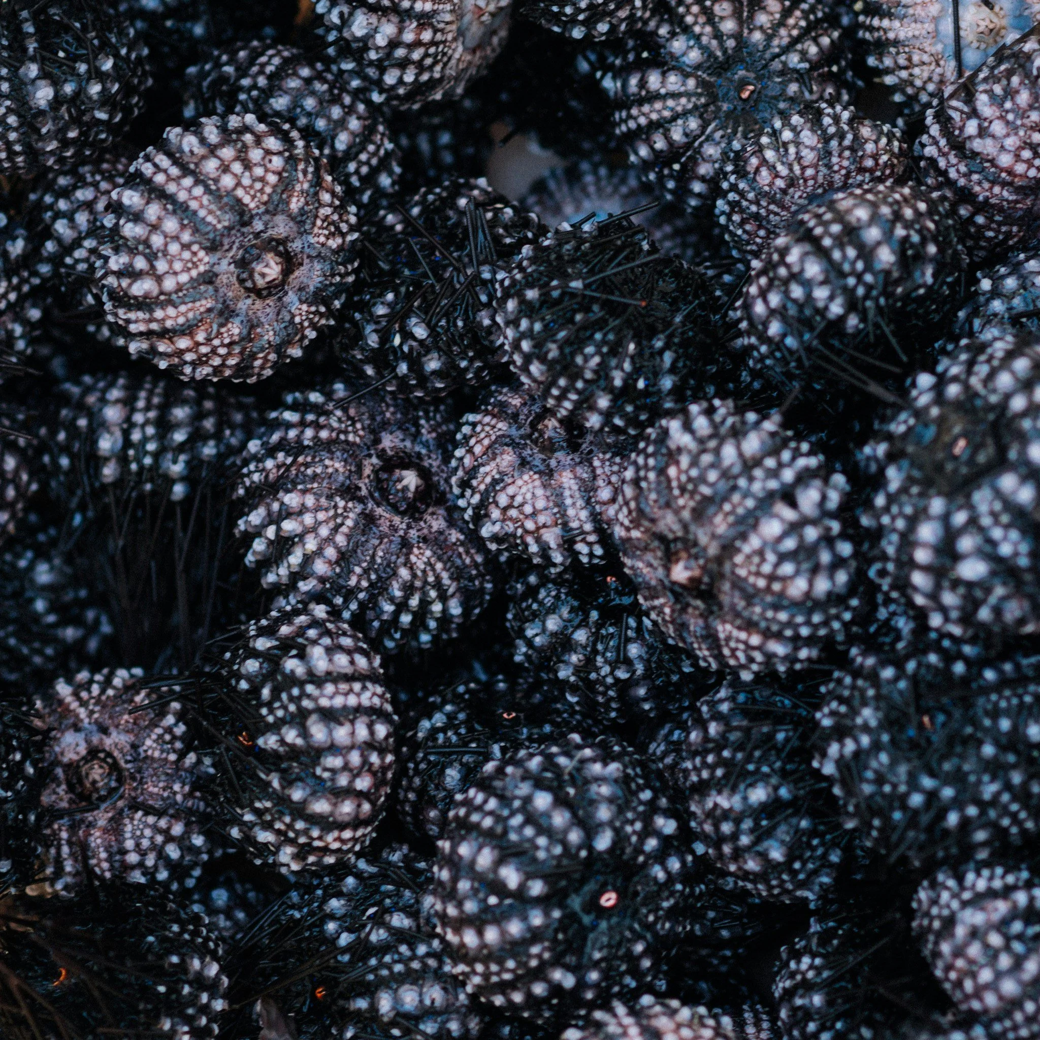 unsplash-image-hATVm3yDjHM.jpg