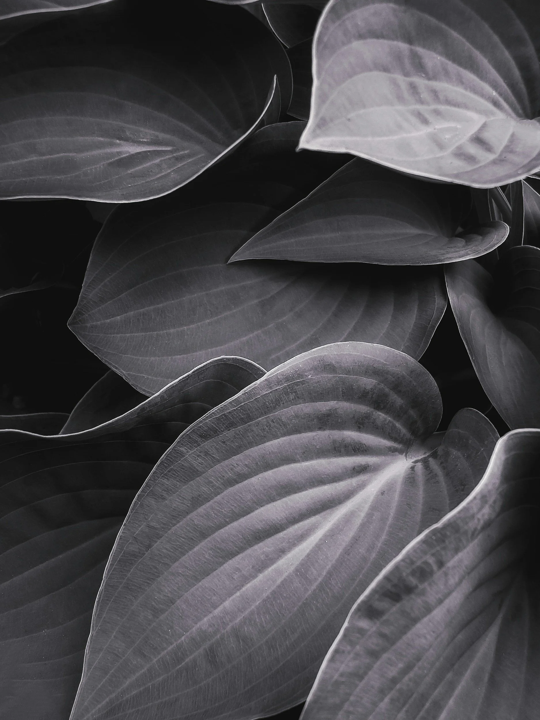 unsplash-image-wZvBqNVlvD8.jpg
