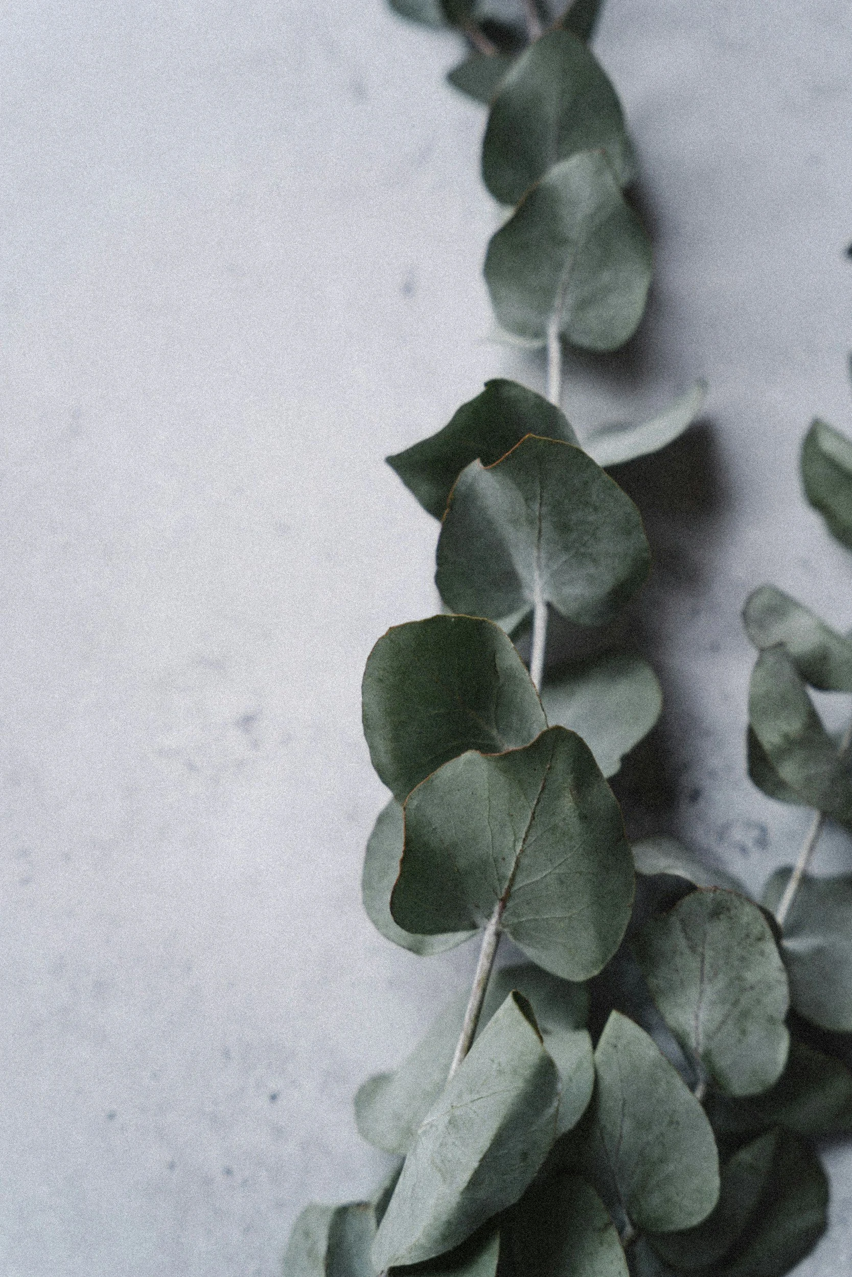 unsplash-image-whLbVUIw7JE.jpg