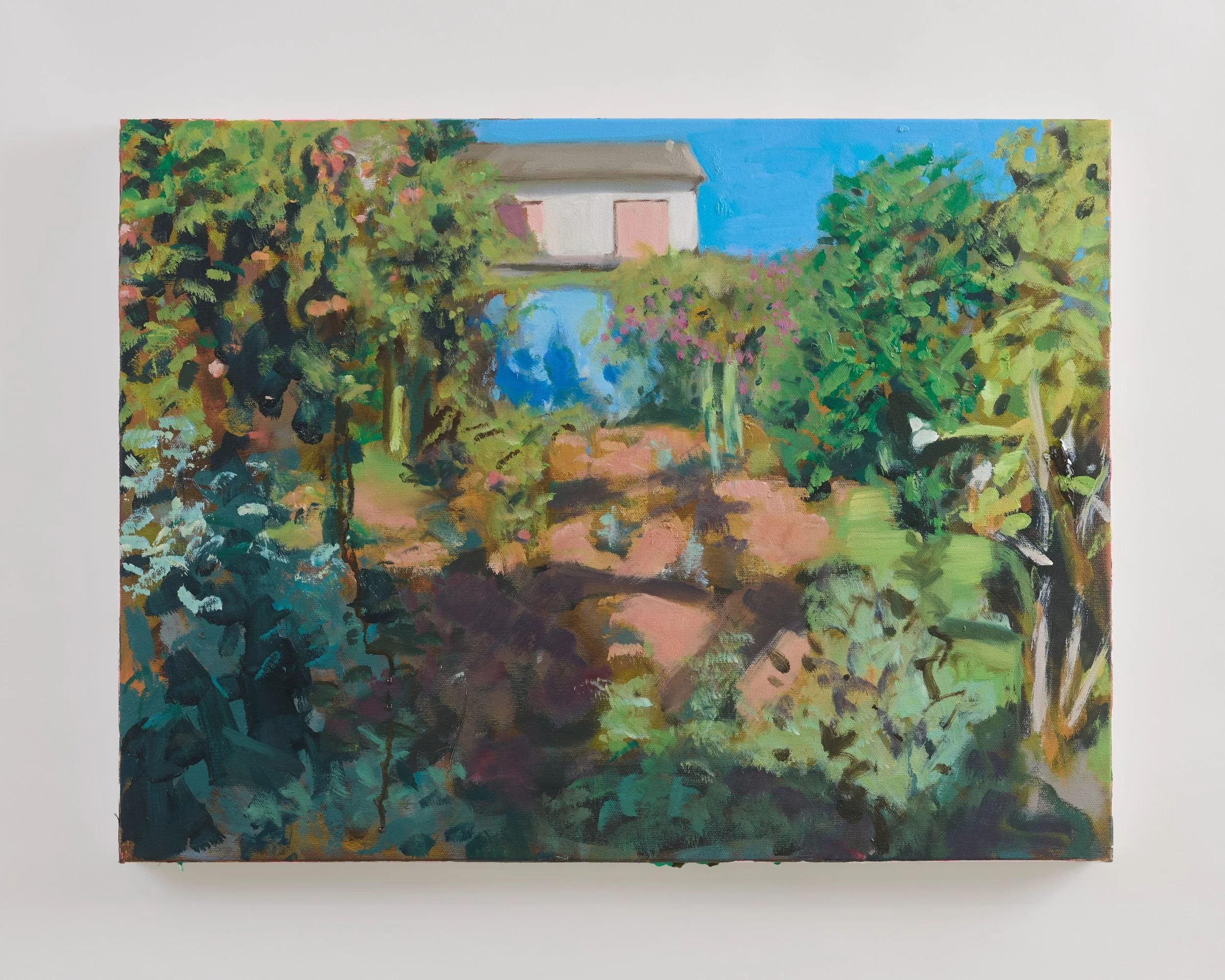 POMEGRANATE GARDEN,  oil on canvas, 45x 60cm, 2026