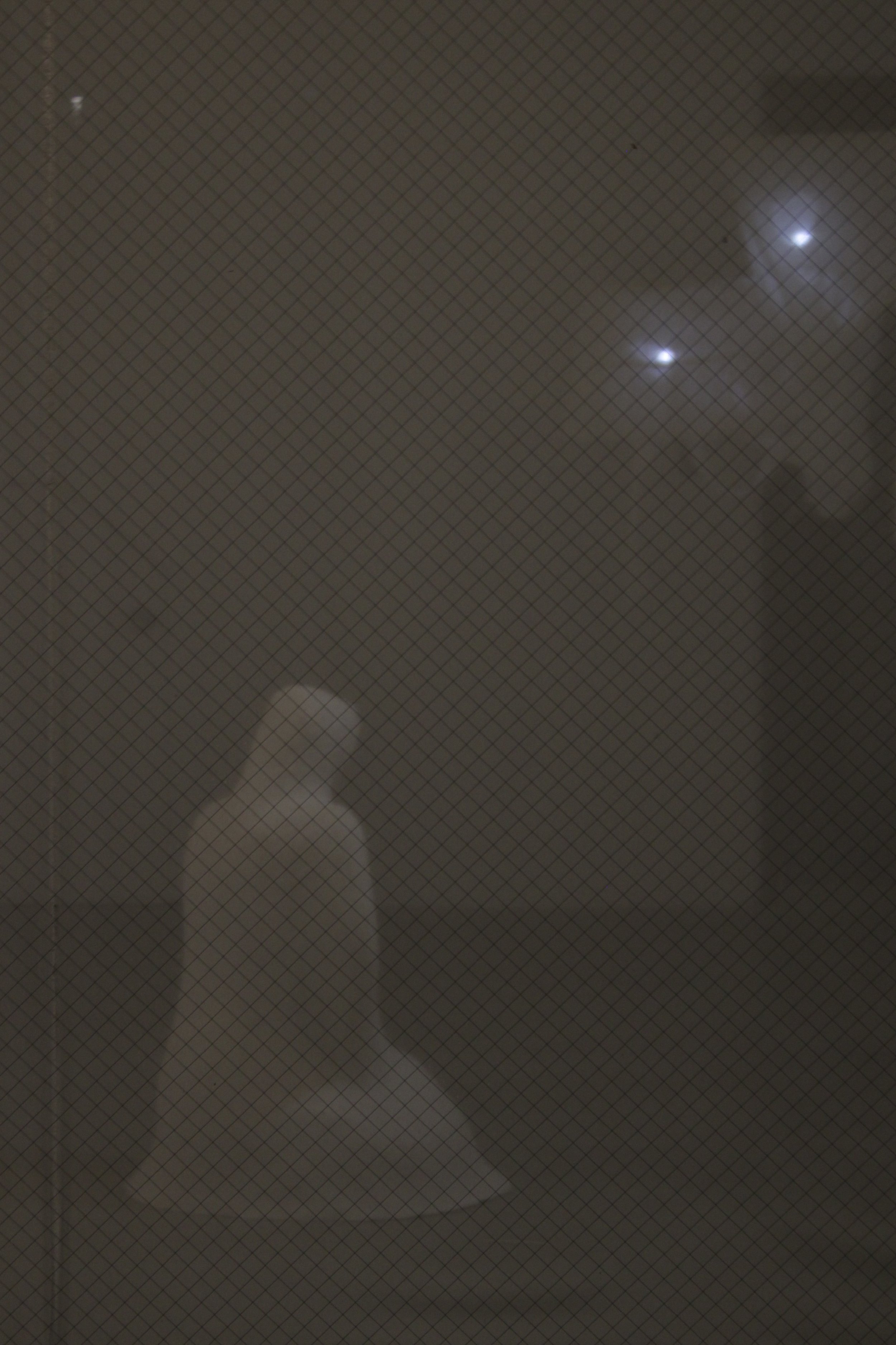 IMG_2254.jpeg