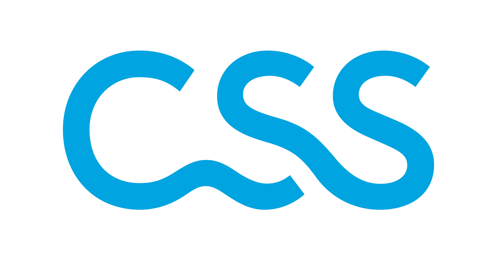 CSS.png