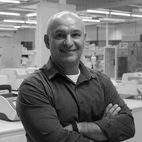 Goncalo Amarante Guimares Periera 