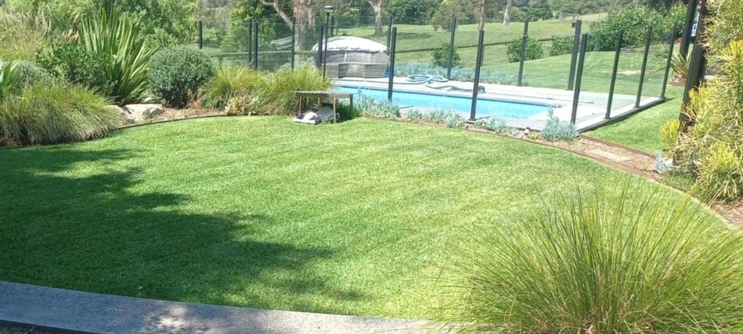 Freshly mowed lawn with pool in background