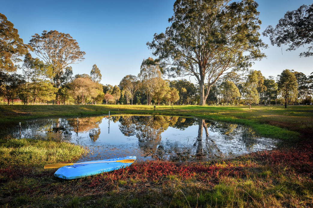 Huge gum tree on large farm with dam.