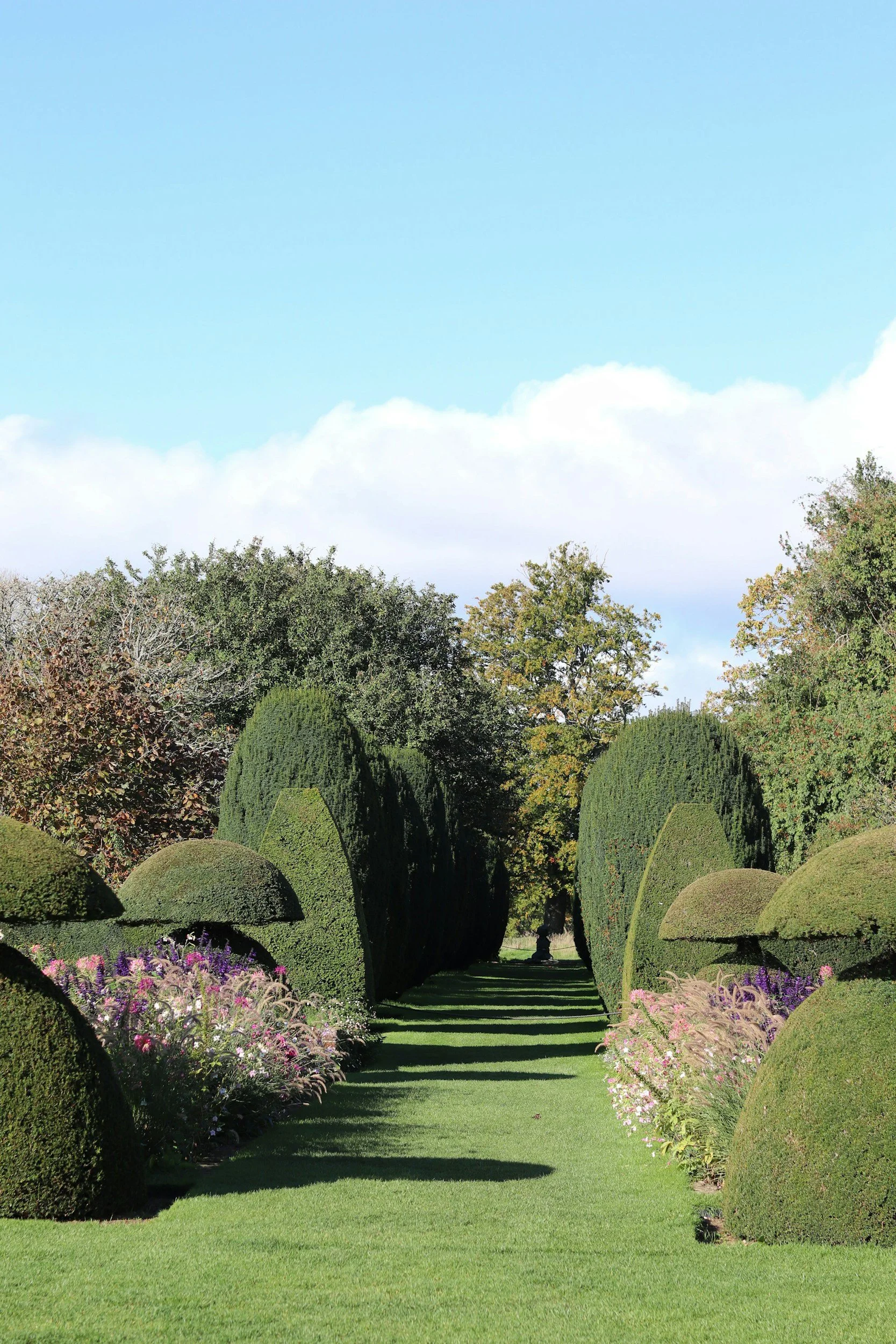 Manicured acreage