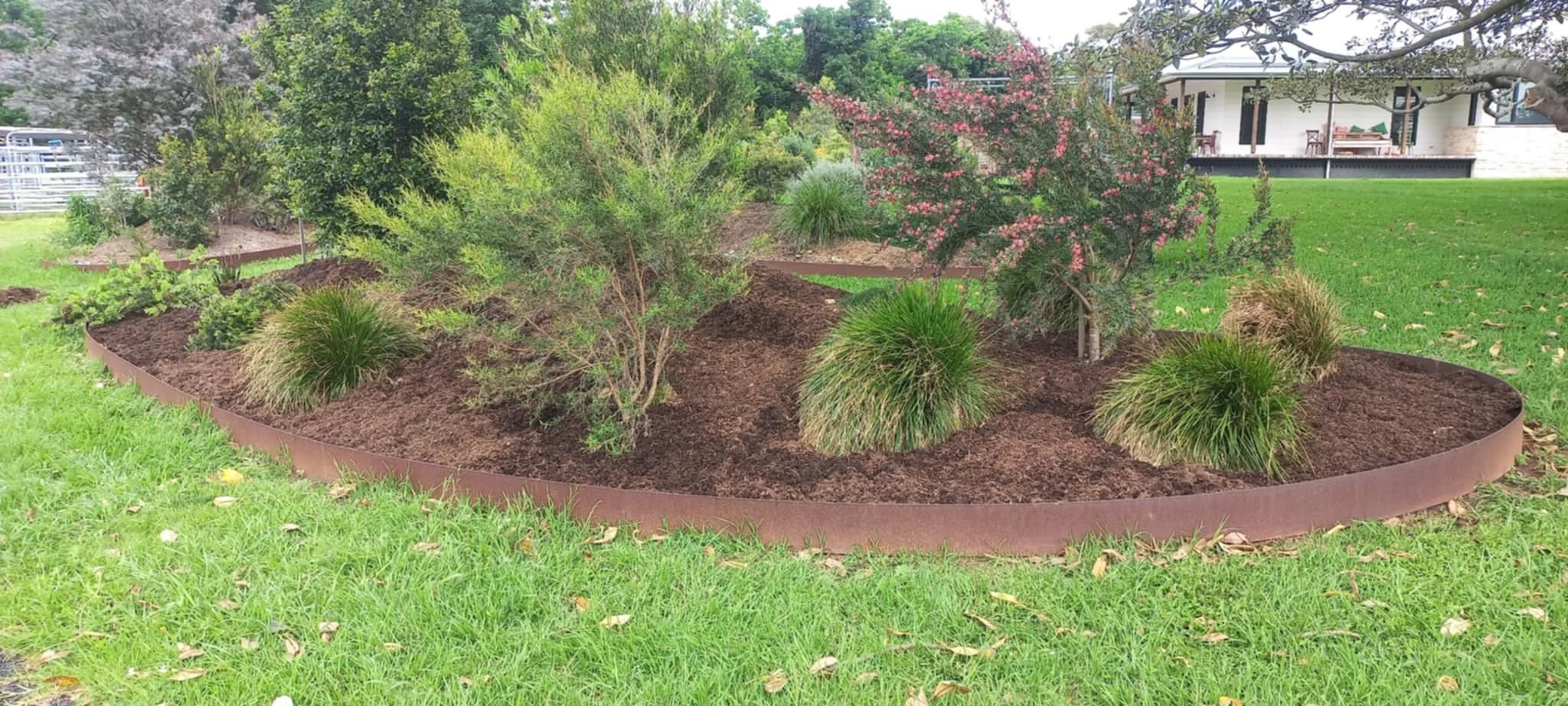 A flower bed with various plants and shrubs, including a small flowering tree, surrounded by a curved metal border in a garden with green grass and a house in the background.