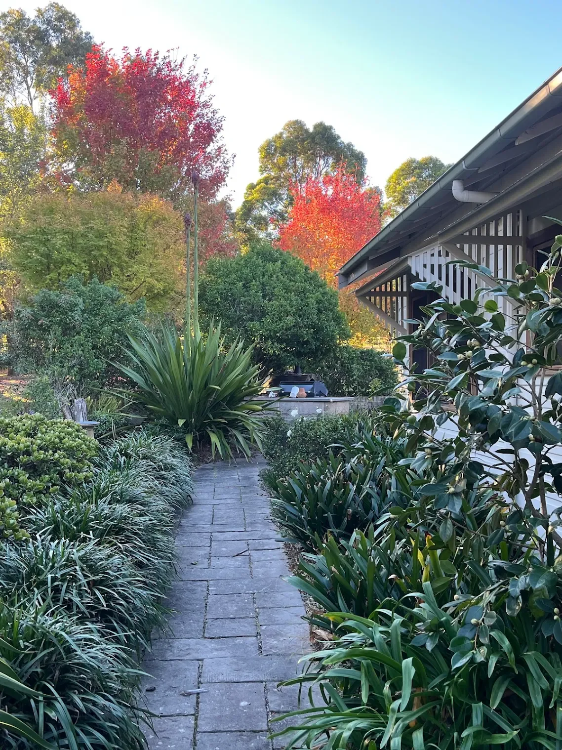 Lush garden on a rural property in Berry
