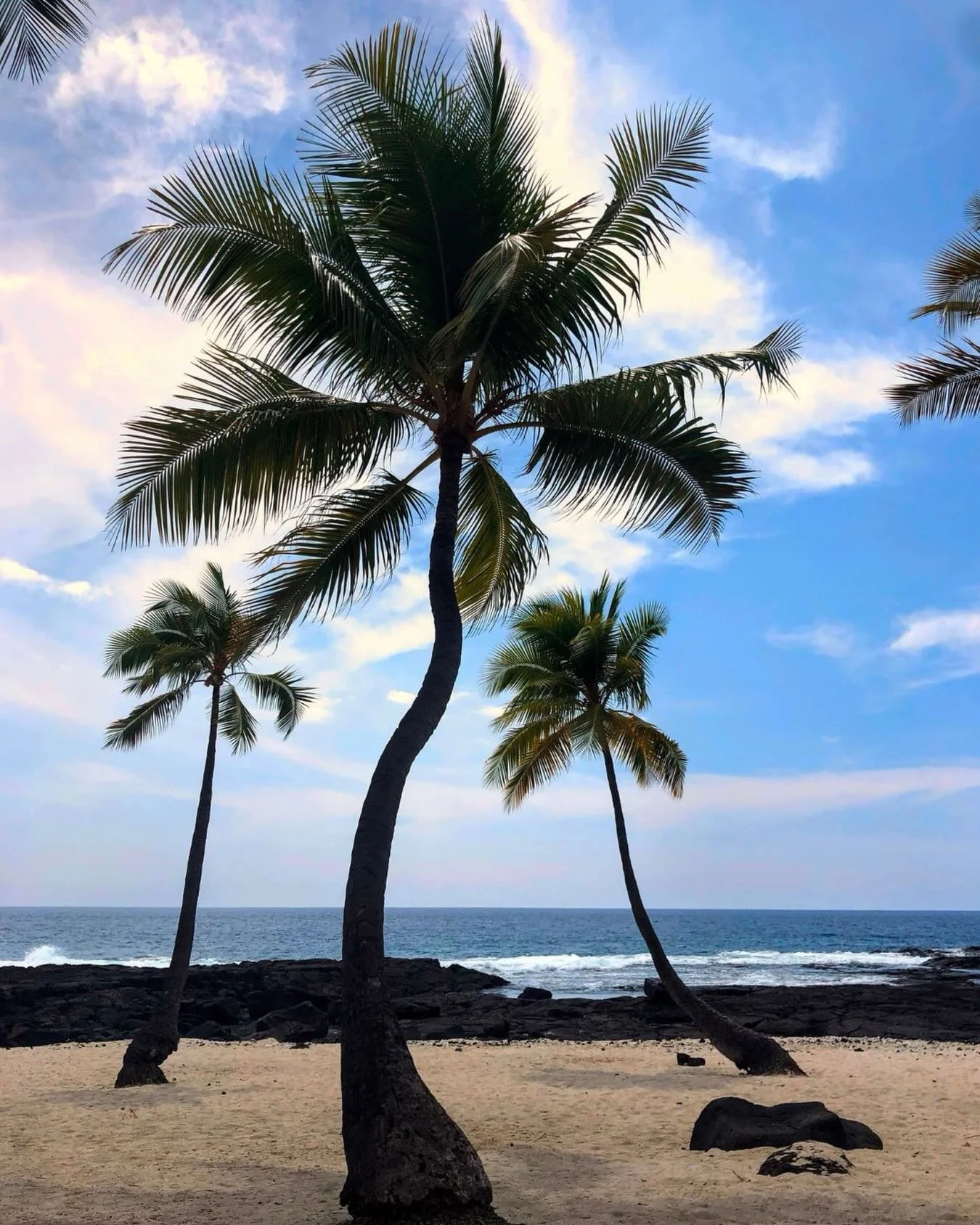 &ldquo;Kūpaʻa kuli nānā i nā pōhaku.&rdquo; To stand firm and look at the rocks. 🌋🏝️

There is a specific kind of strength required to grow in the lava fields of Hawaiʻi. It&rsquo;s a reminder that beauty doesn&rsquo;t always need soft soil; someti