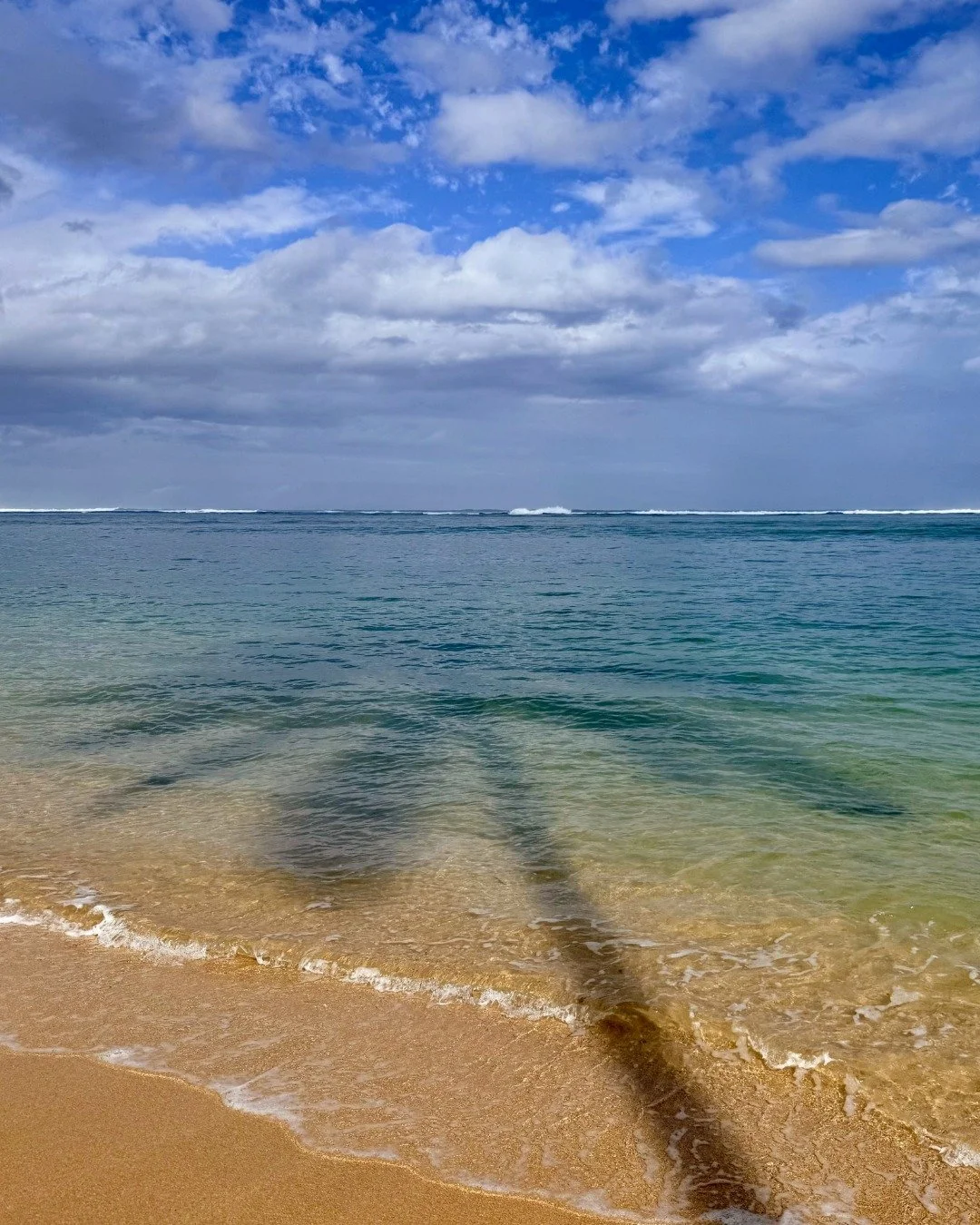 "He aka pū nō me ke kino." A shadow is always with the body. 🌴✨

This Hawaiian proverb speaks to things that are never apart, a reminder that our roots and our presence always travel together.

Take a moment to appreciate the light and the