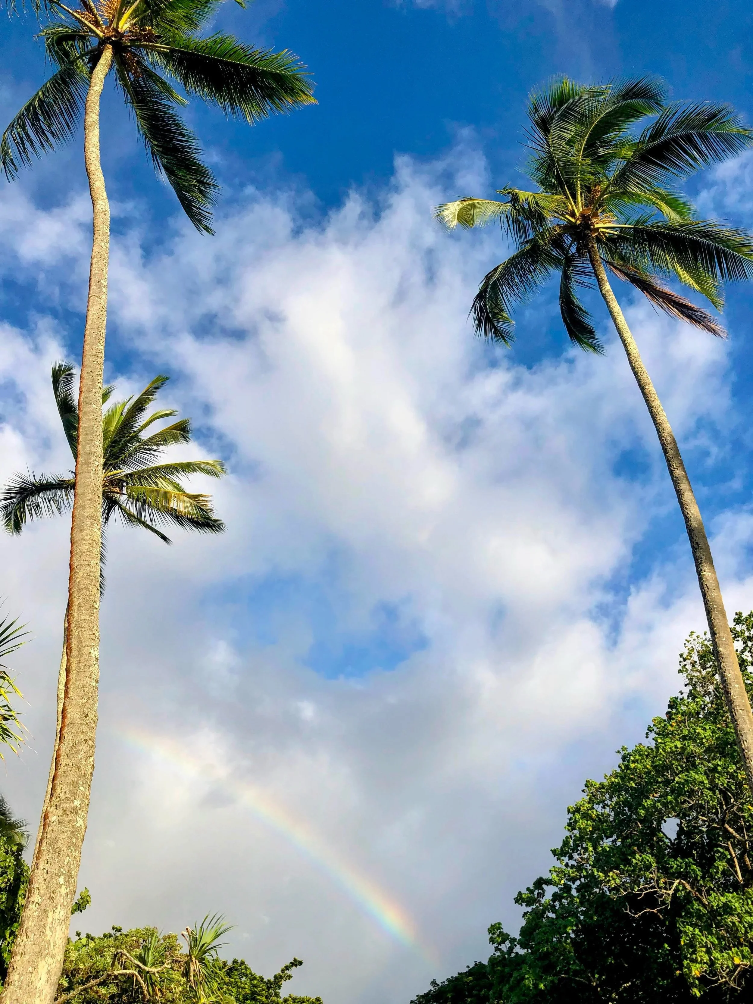 &ldquo;&lsquo;A&lsquo;ole ua, &lsquo;a&lsquo;ole ānuenue.&rdquo; No rain, no rainbows. 🌧️🌈

Storms can create beauty. Find the color in every day. Happy Aloha Friday! 🤙🌴

#AlohaFriday #NoRainNoRainbows #CoconutCityCreative #Resilience #Hawaii