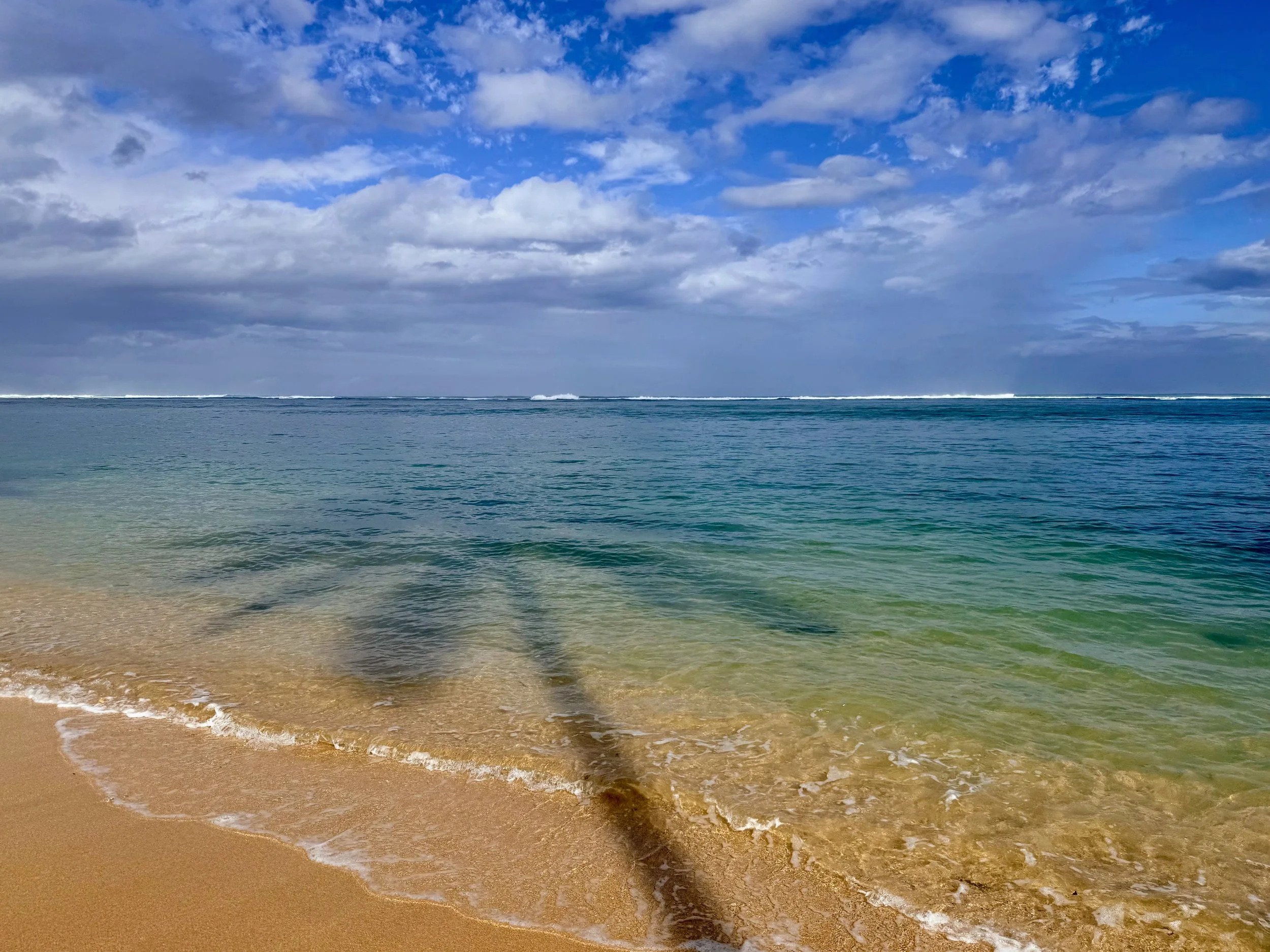 Coconut City Creative | Holistic Branding & Marketing Services | Hawai'i Island