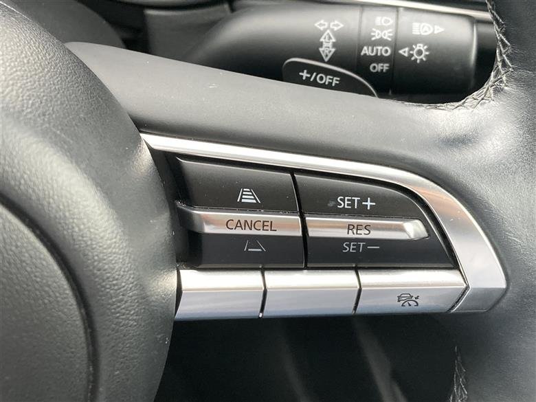cardetail4.jpg