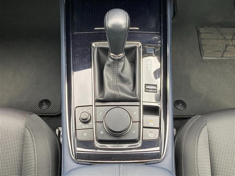 cardetail1.jpg