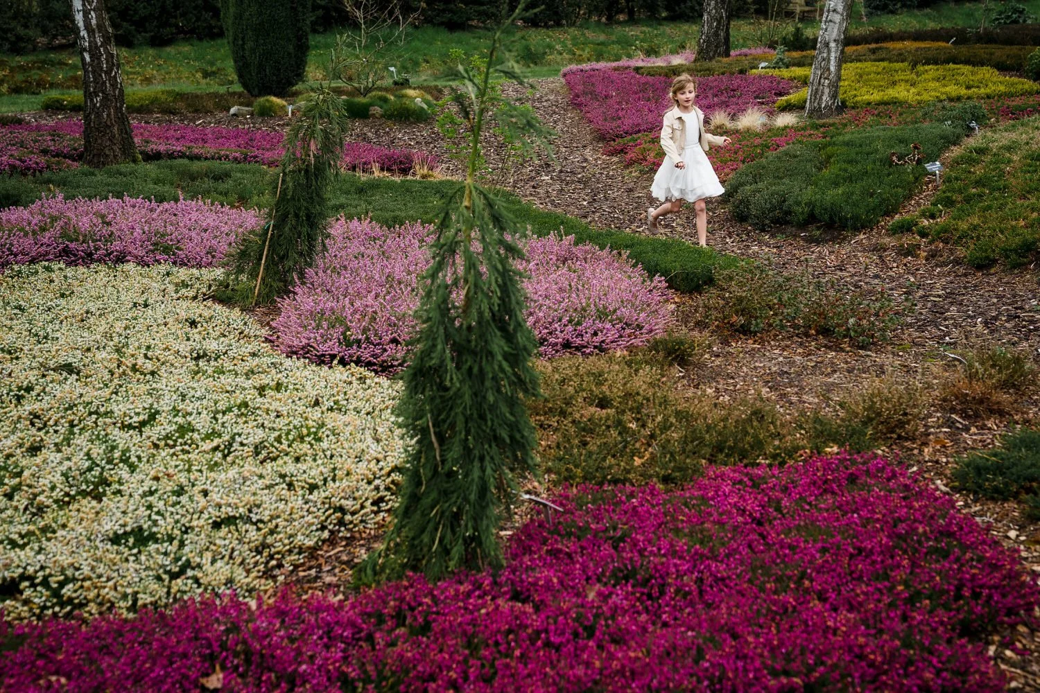 PlantentuinMerksplas.jpg