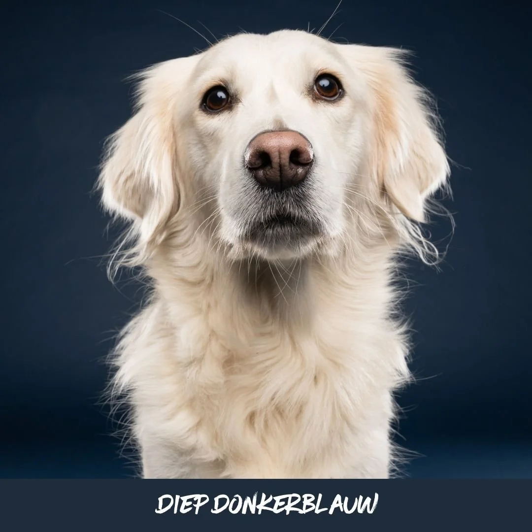 donkerblauw@studioohmydog.jpg