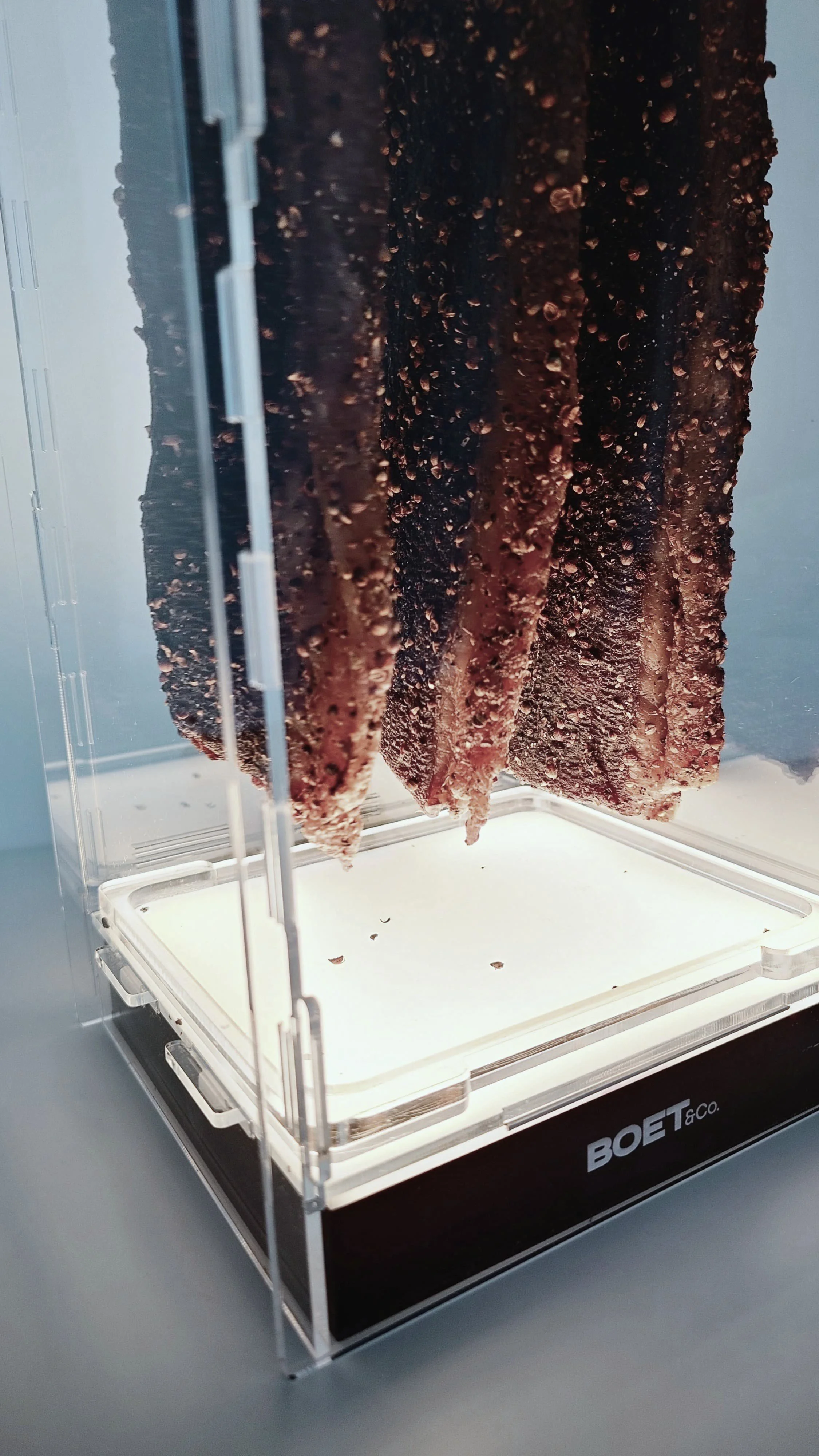 WhatsApp Image 2024-09-13 at 12.45.57 (11).jpeg