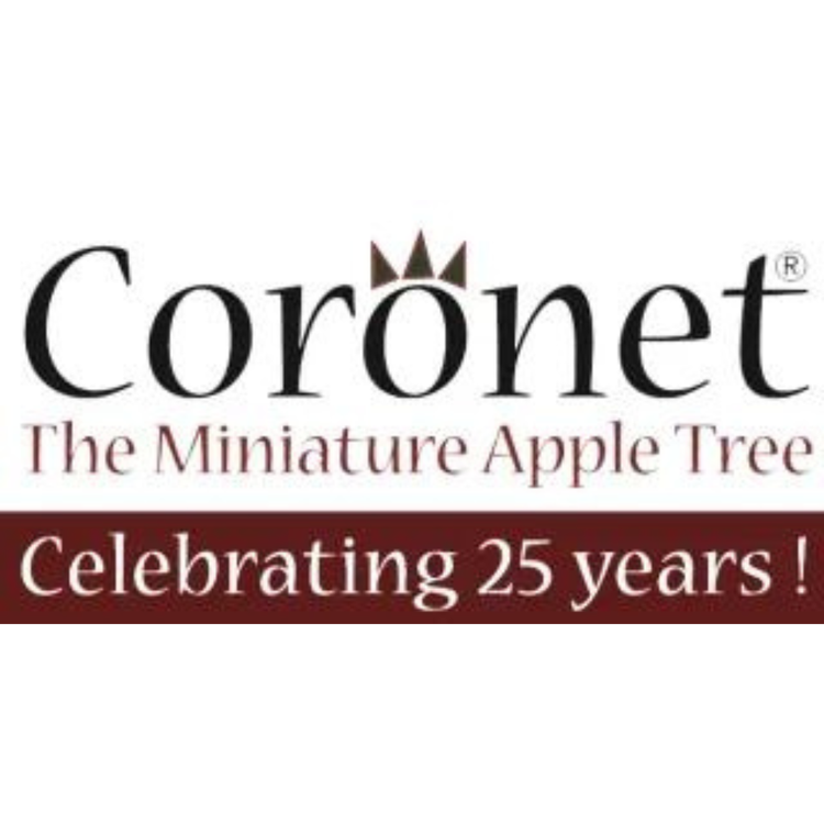 Untitled+design+(3) (1).webp