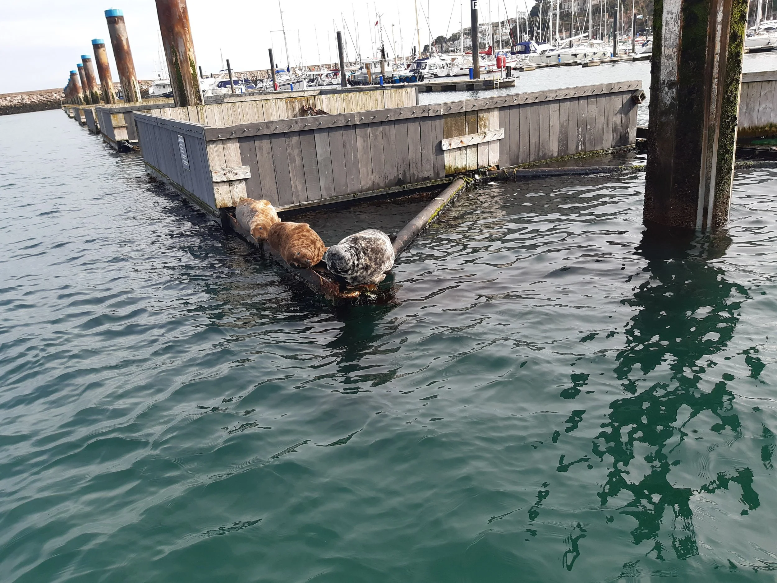 Sustainable Engineering in Ports, Harbours and Coastal Infrastructure
